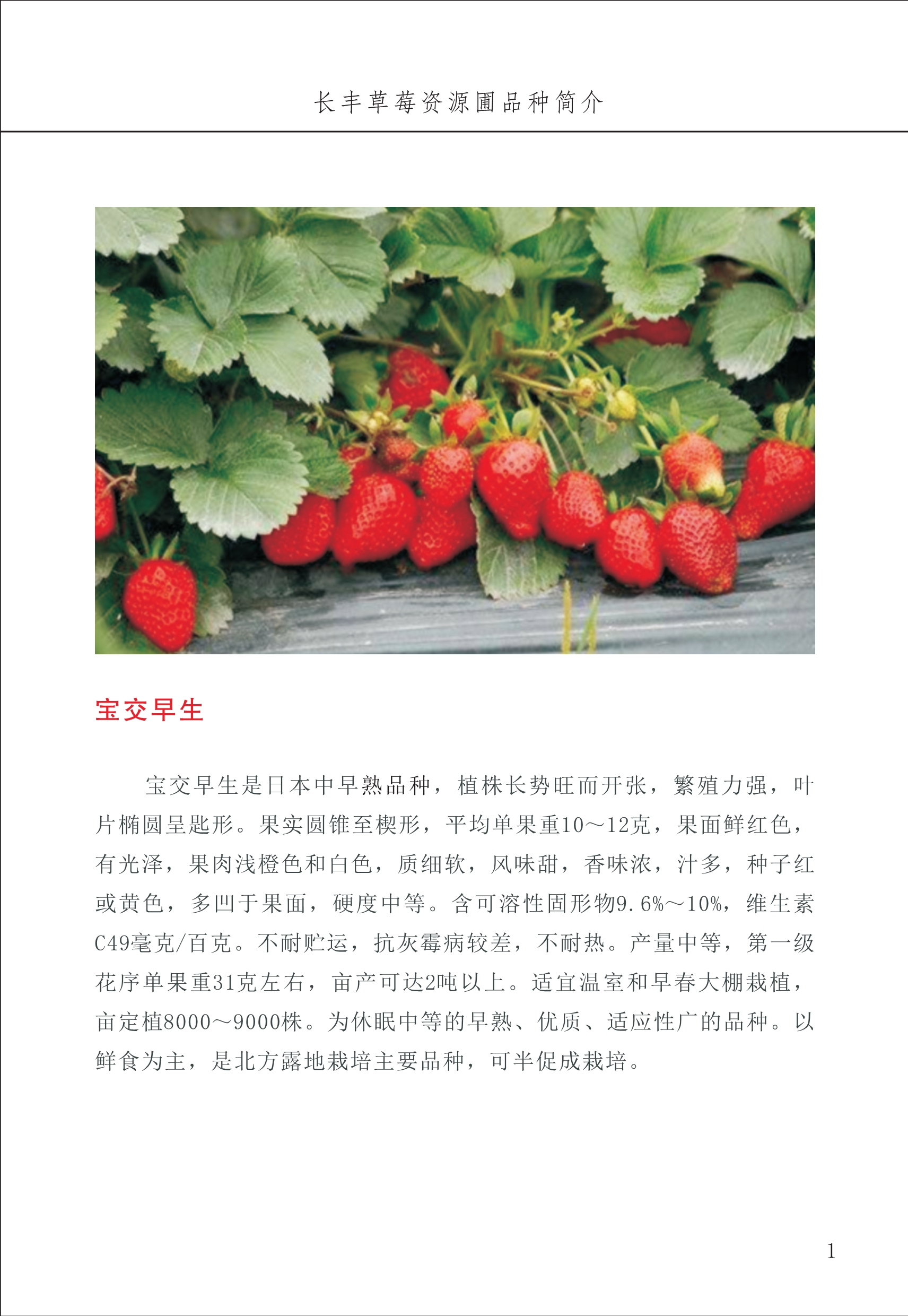 長豐農(nóng)技中心1_5.jpg