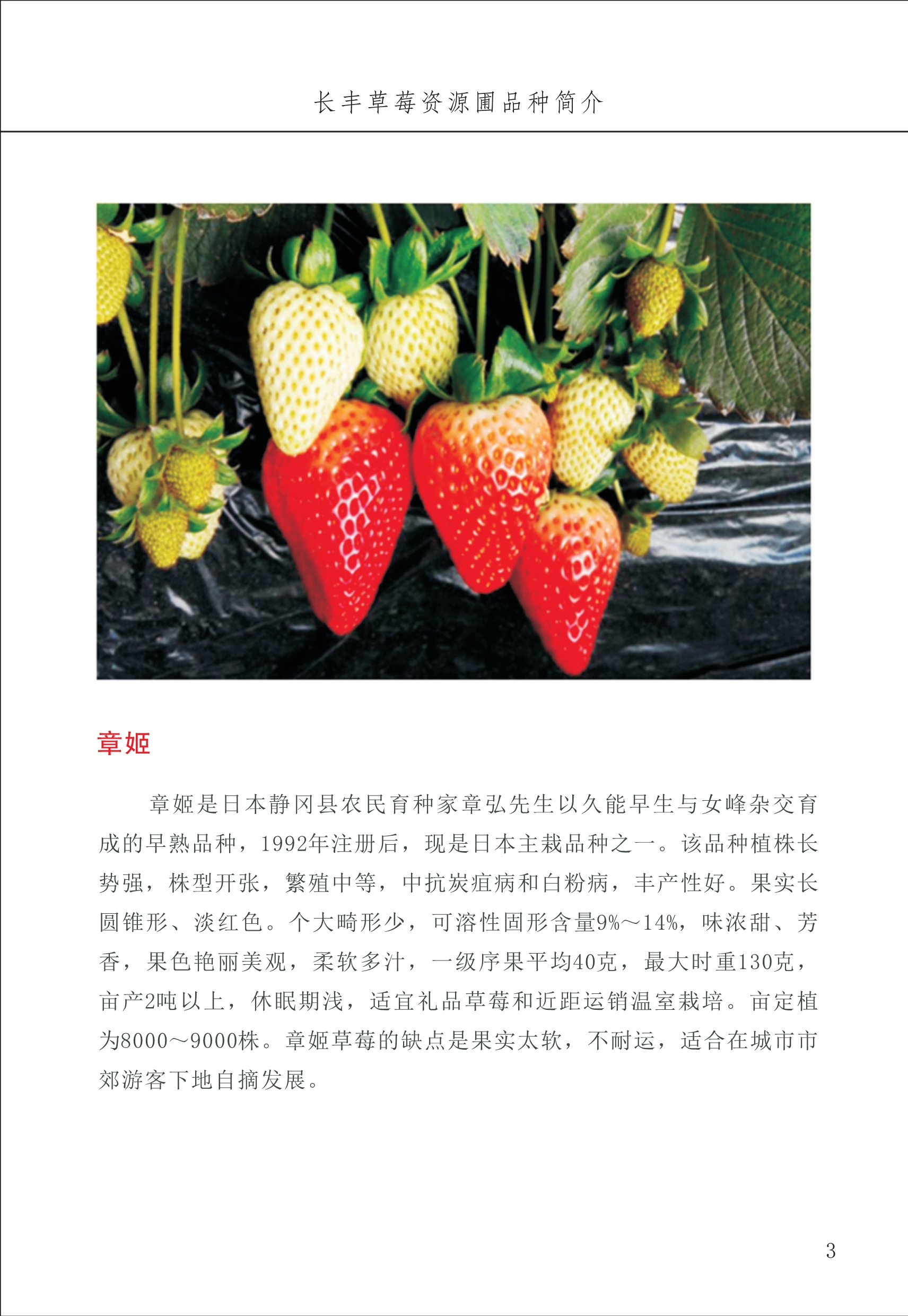 長豐農(nóng)技中心1_7.jpg