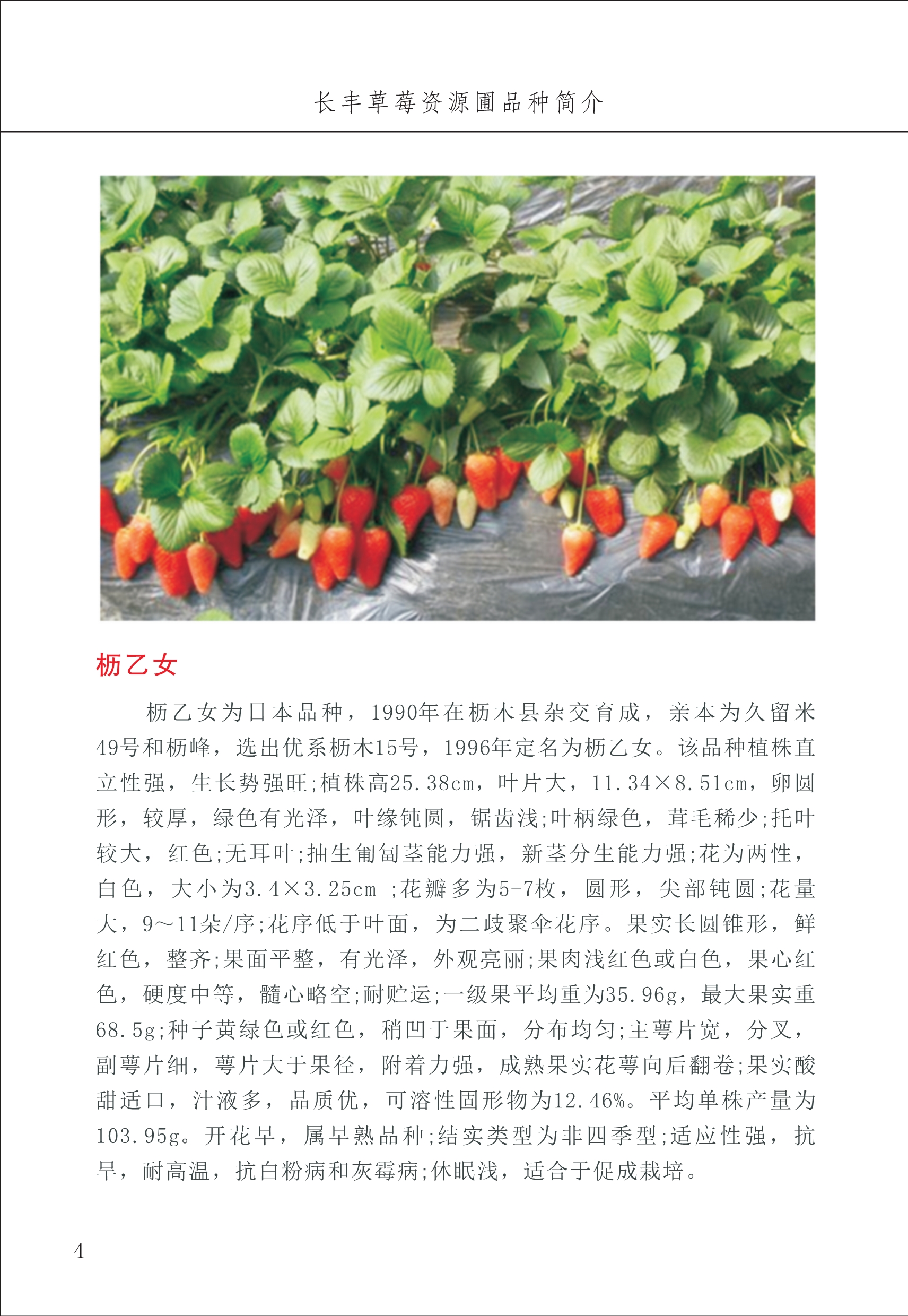 長豐農(nóng)技中心1_8.jpg