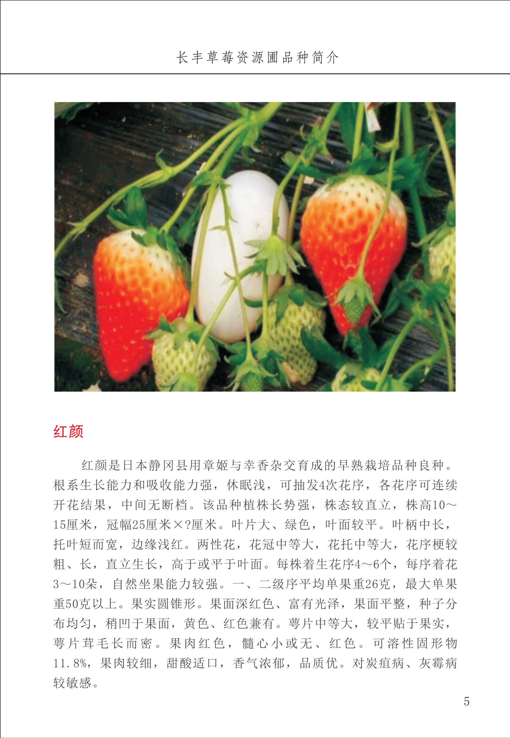 長豐農(nóng)技中心1_9.jpg