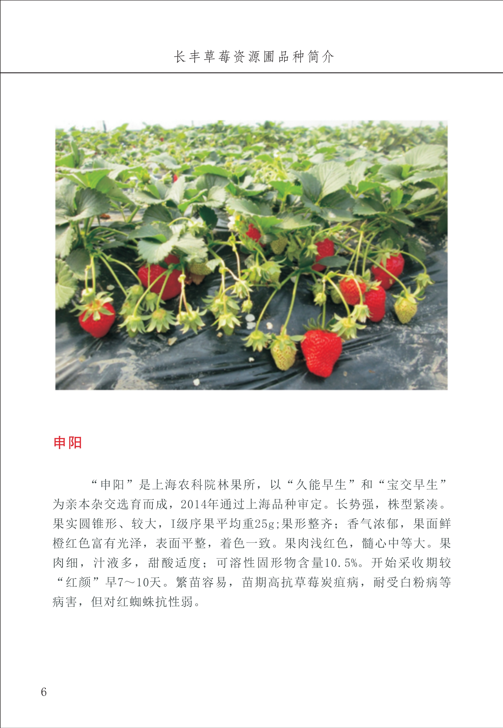 長豐農(nóng)技中心1_10.jpg
