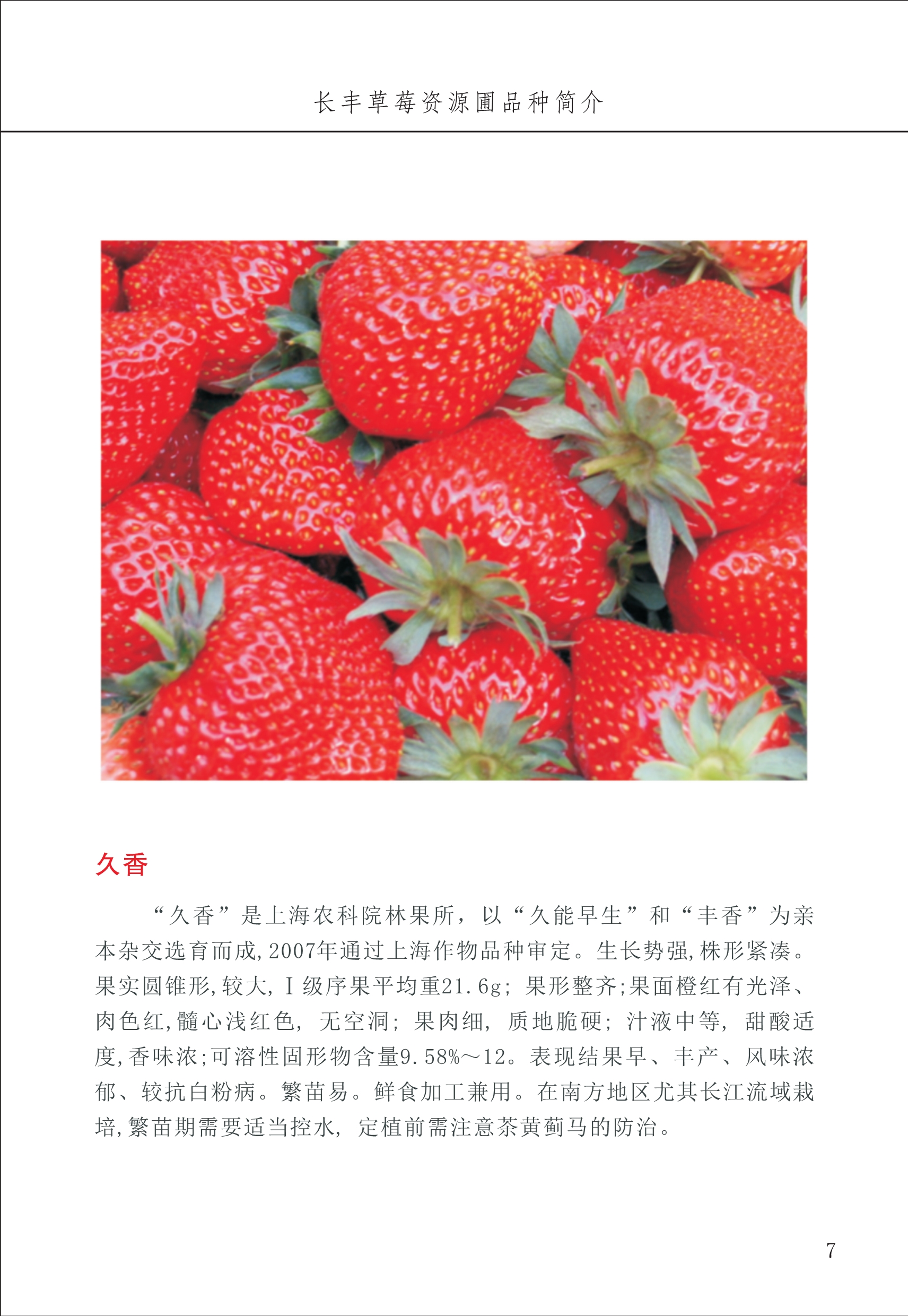 長(zhǎng)豐農(nóng)技中心1_11.jpg