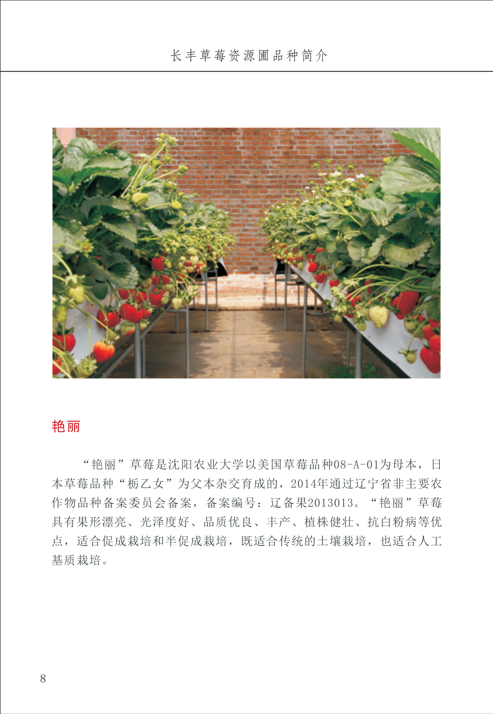 長(zhǎng)豐農(nóng)技中心1_12.jpg