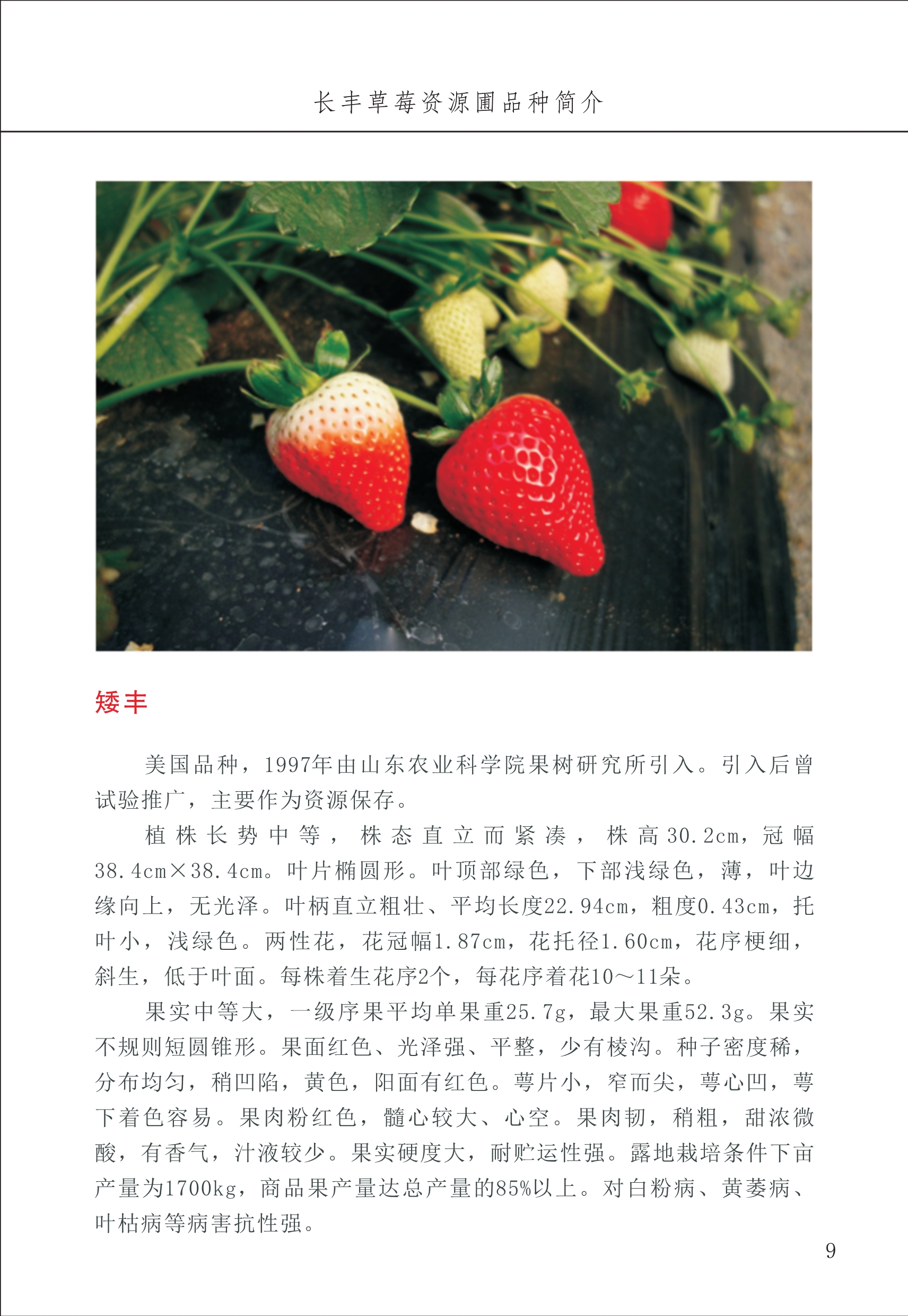 長(zhǎng)豐農(nóng)技中心1_13.jpg
