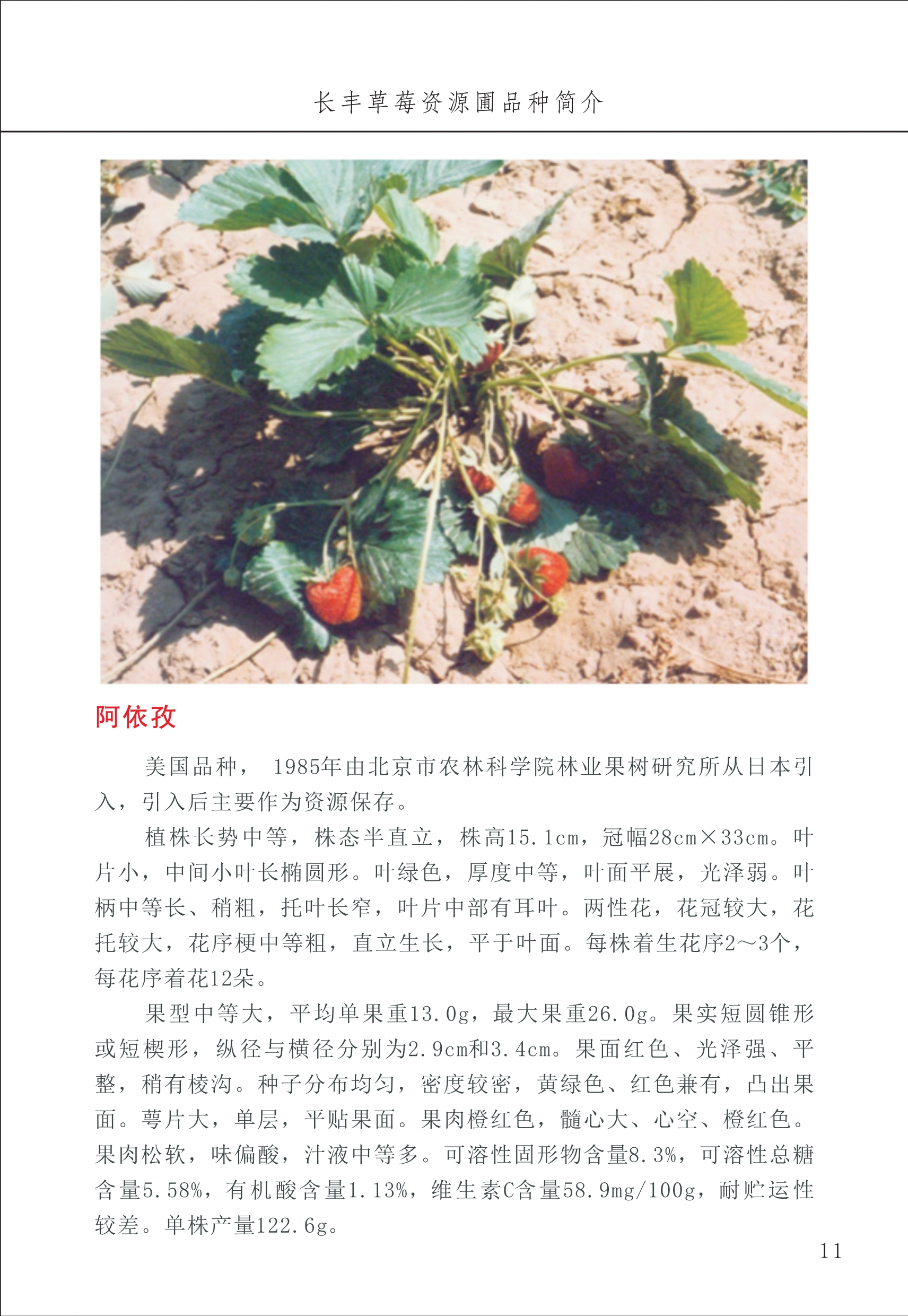 長豐農(nóng)技中心1_15.jpg