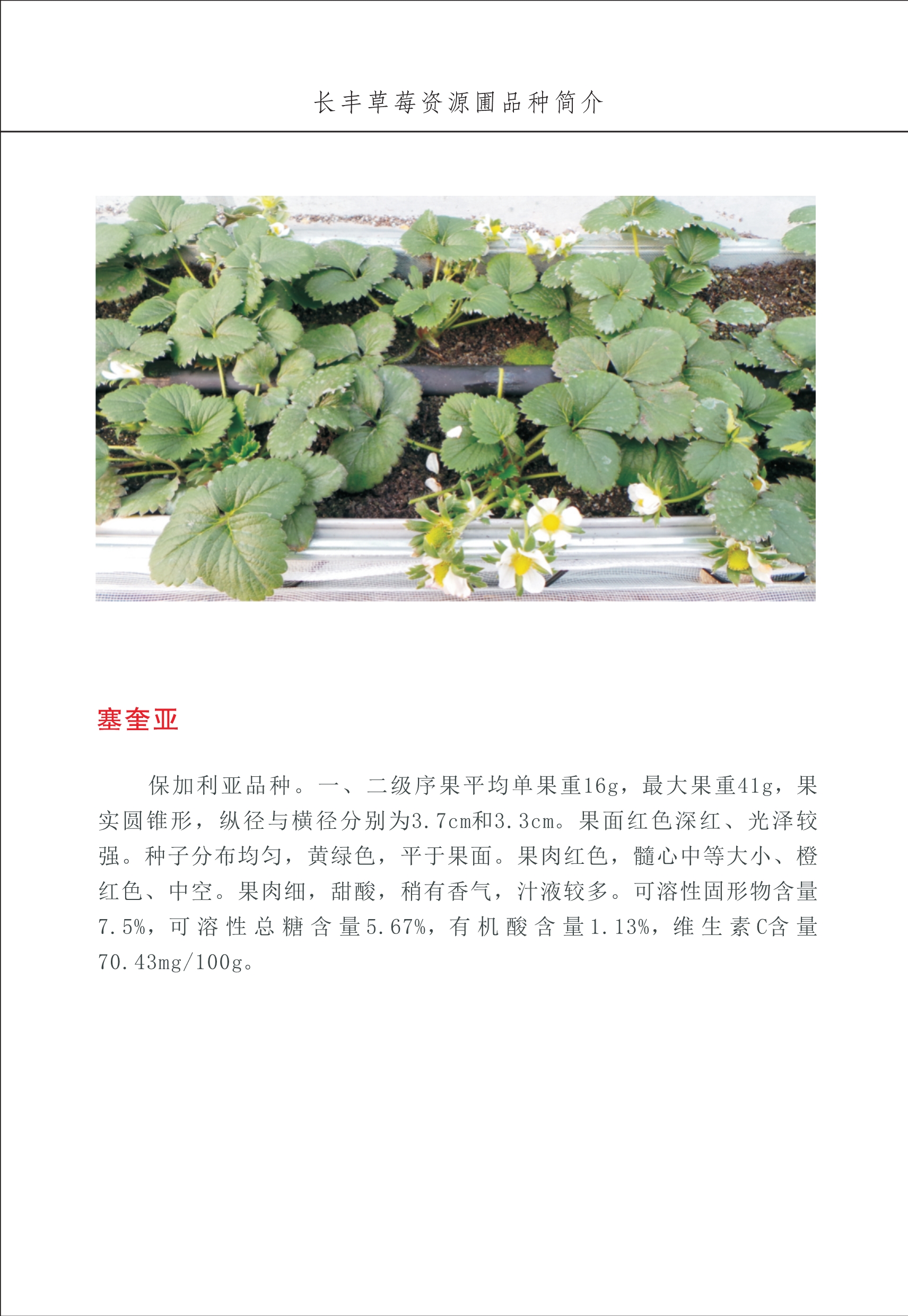 長豐農(nóng)技中心1_17.jpg