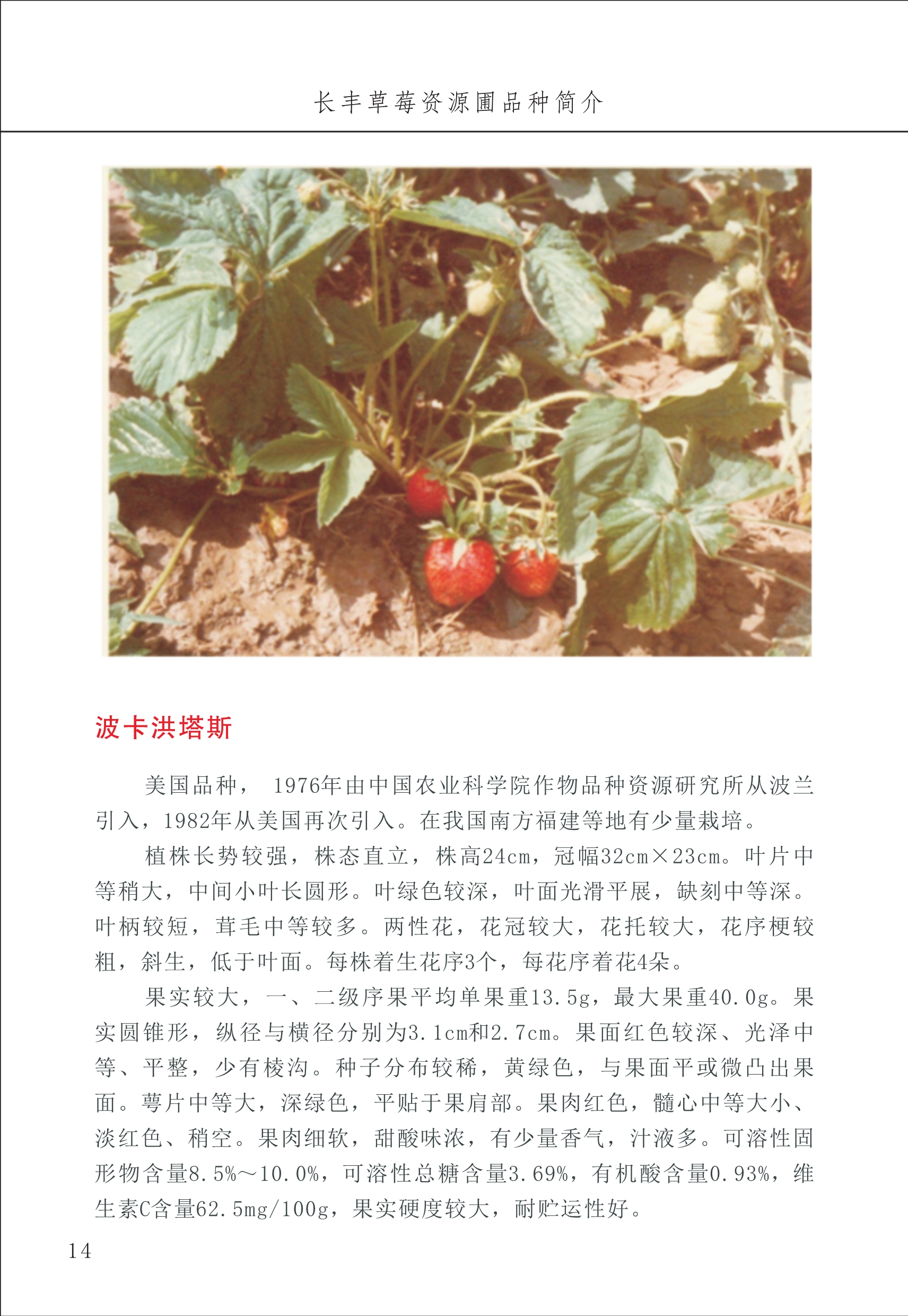長(zhǎng)豐農(nóng)技中心1_18.jpg