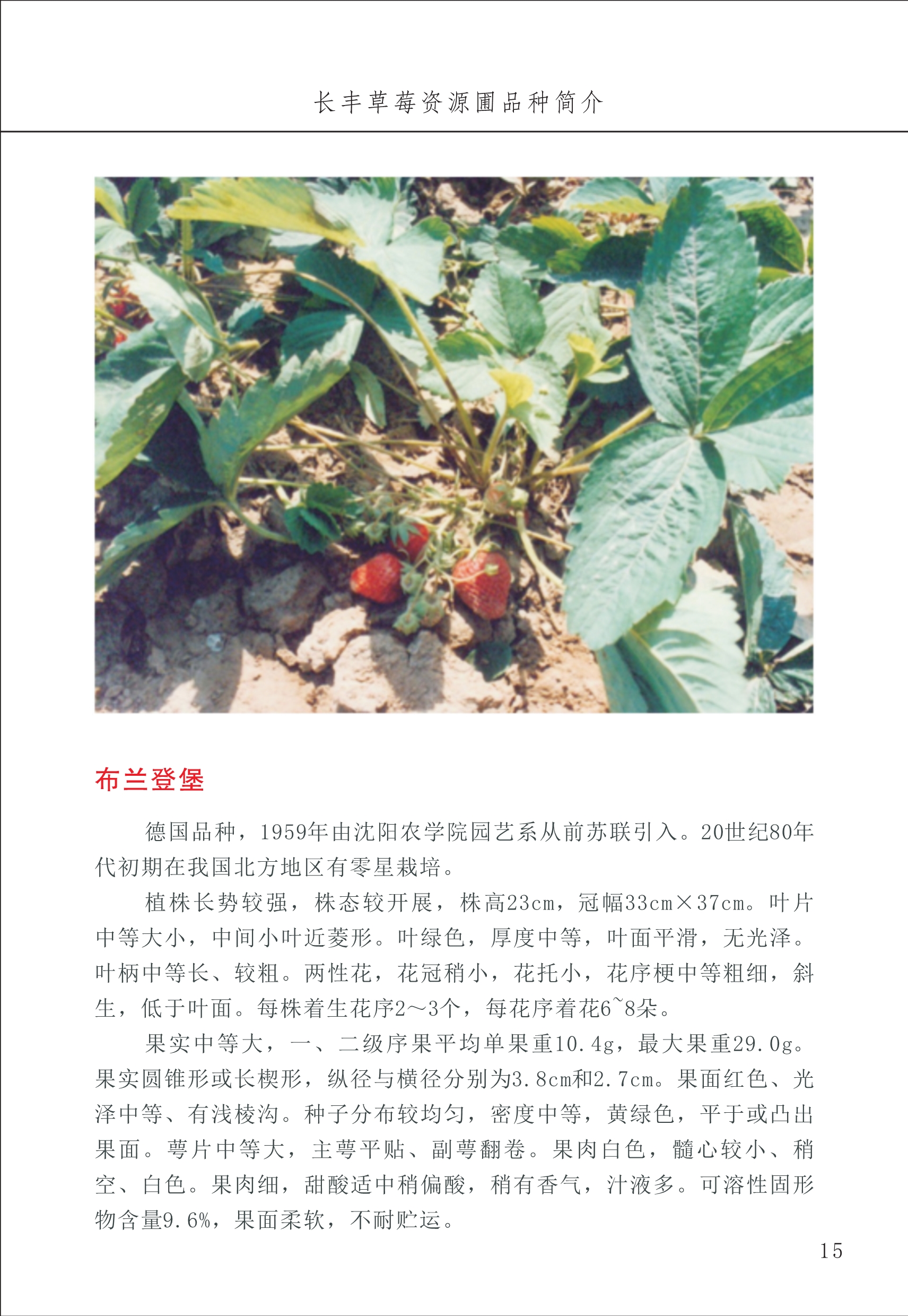長豐農(nóng)技中心1_19.jpg