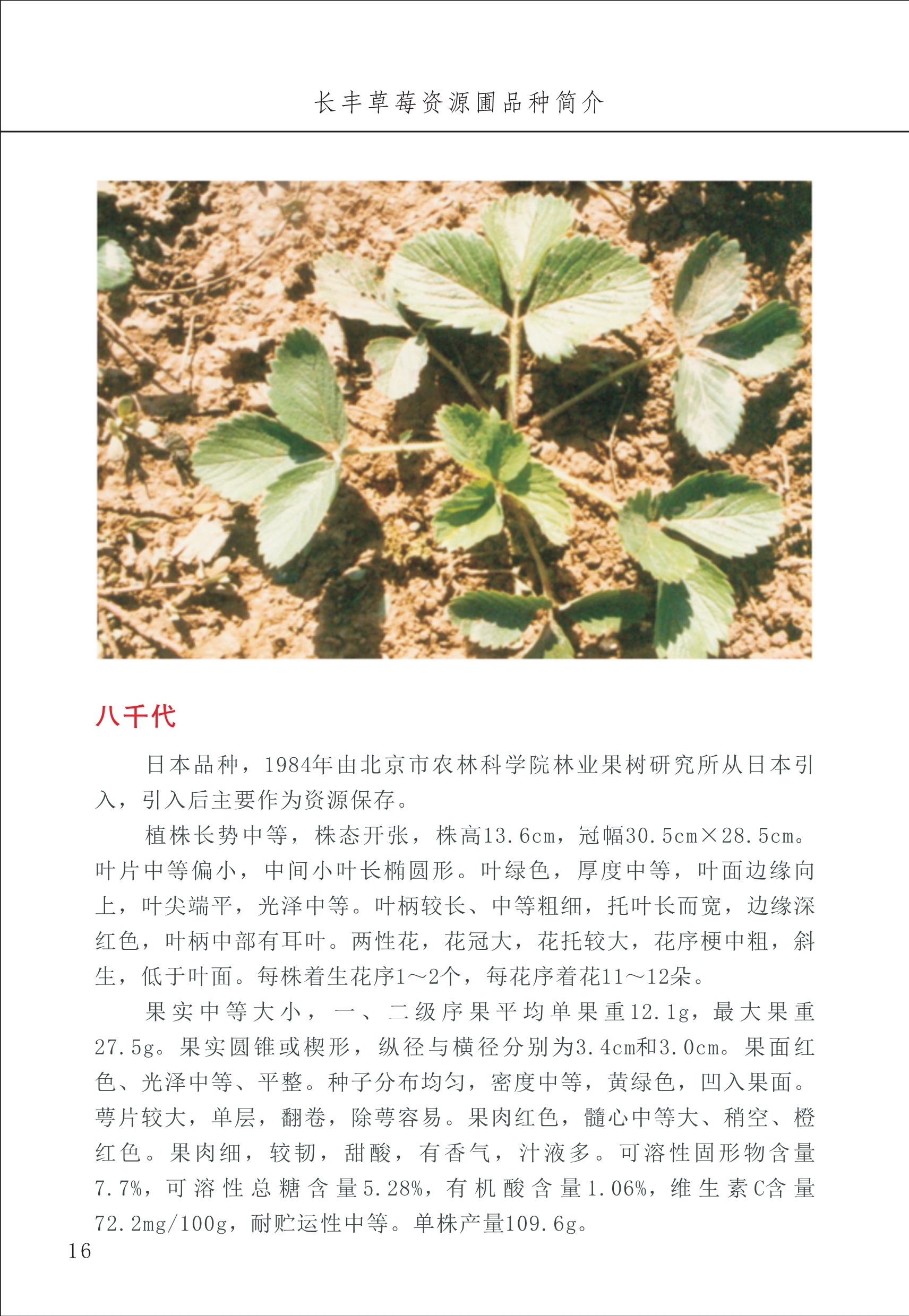 長豐農(nóng)技中心1_20.jpg
