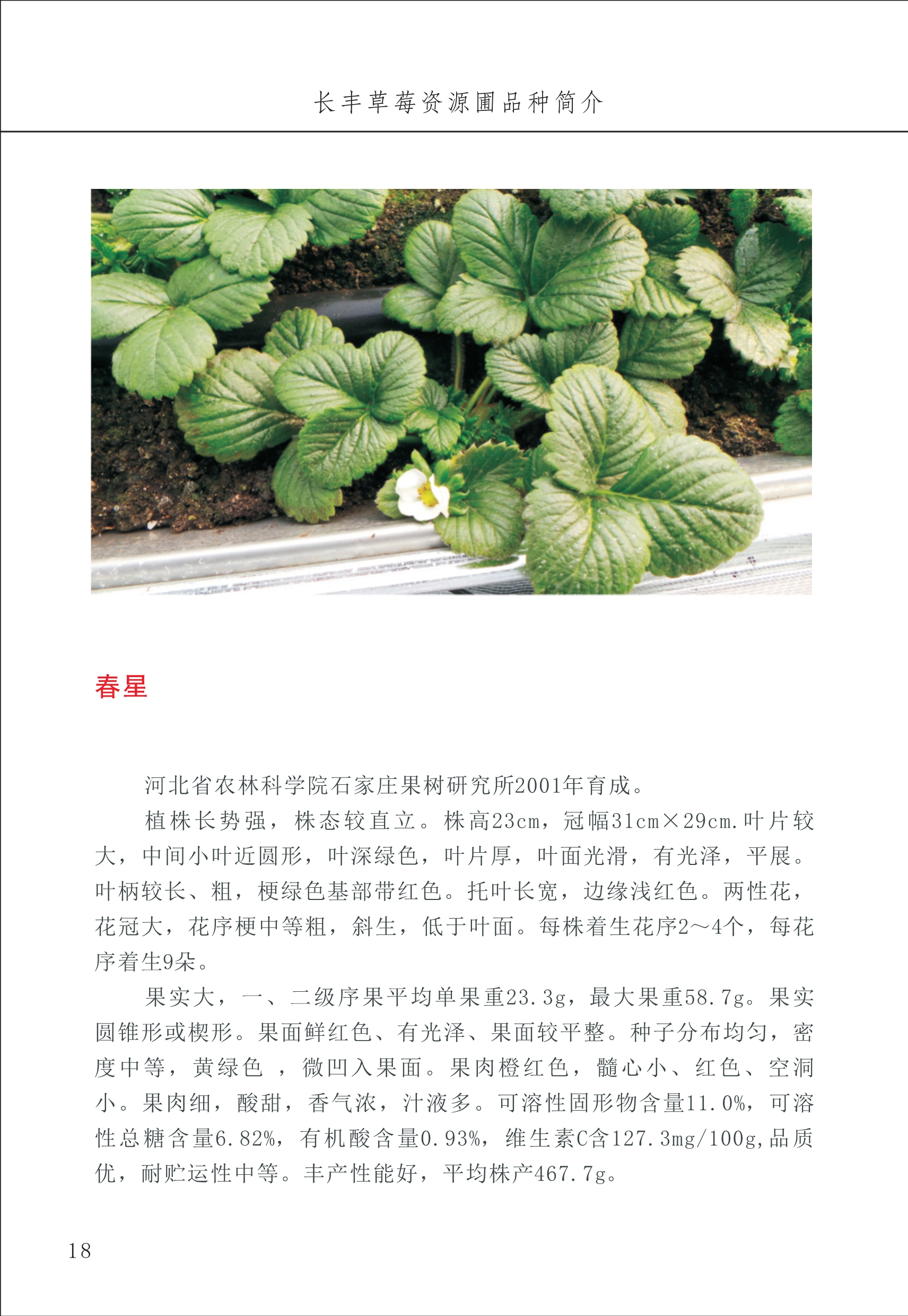 長豐農(nóng)技中心1_22.jpg
