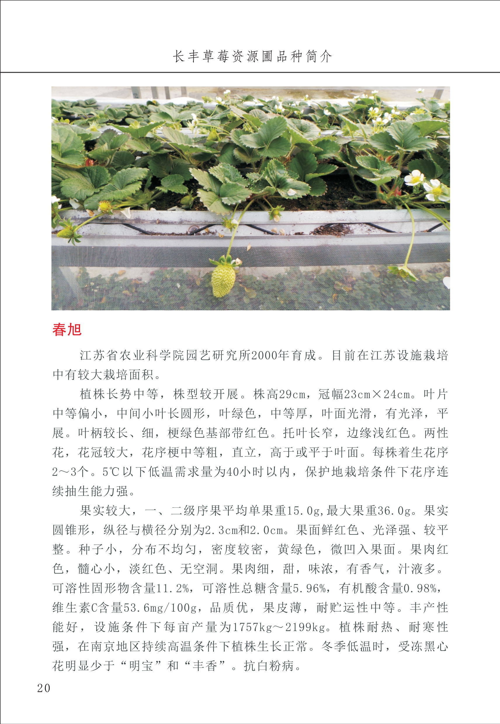 長(zhǎng)豐農(nóng)技中心1_24.jpg