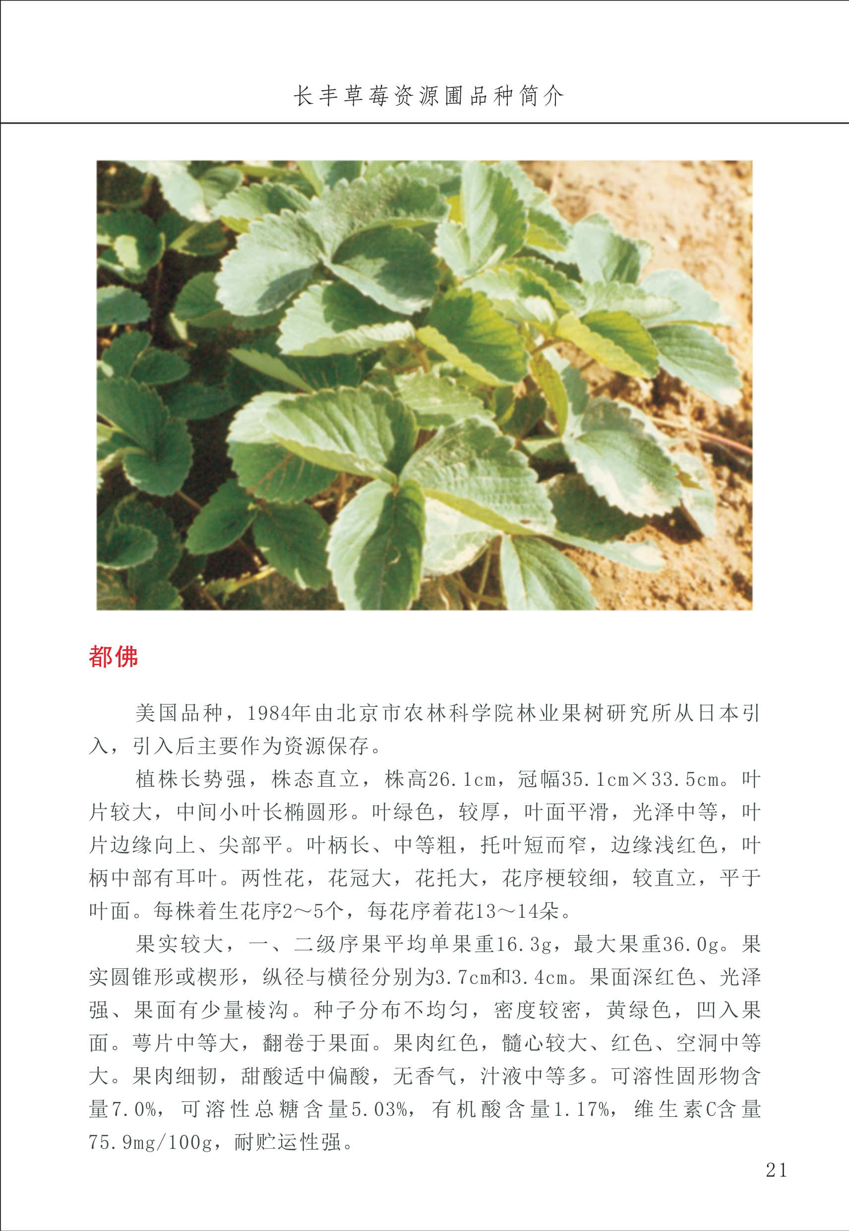 長豐農(nóng)技中心1_25.jpg