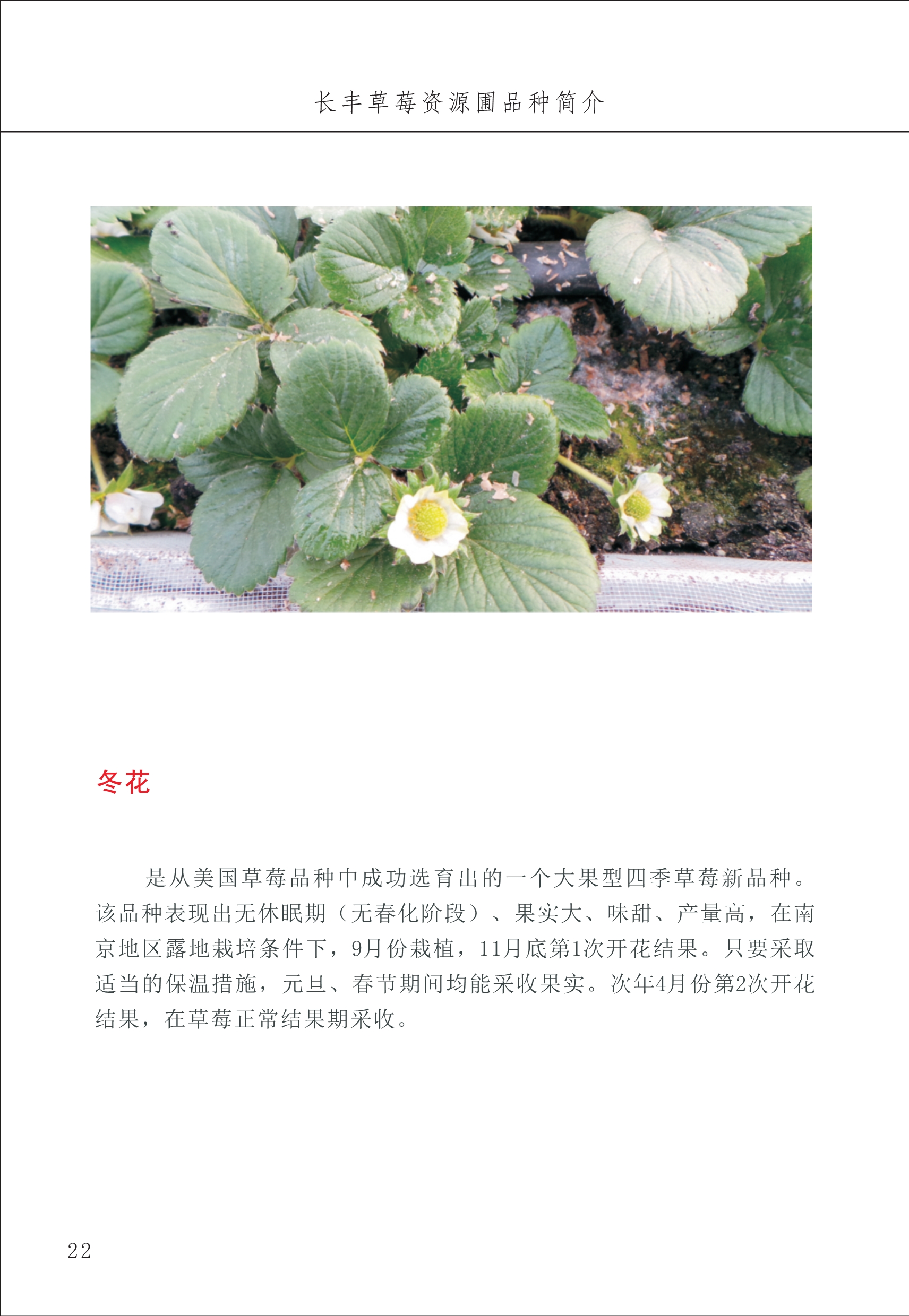 長(zhǎng)豐農(nóng)技中心1_26.jpg