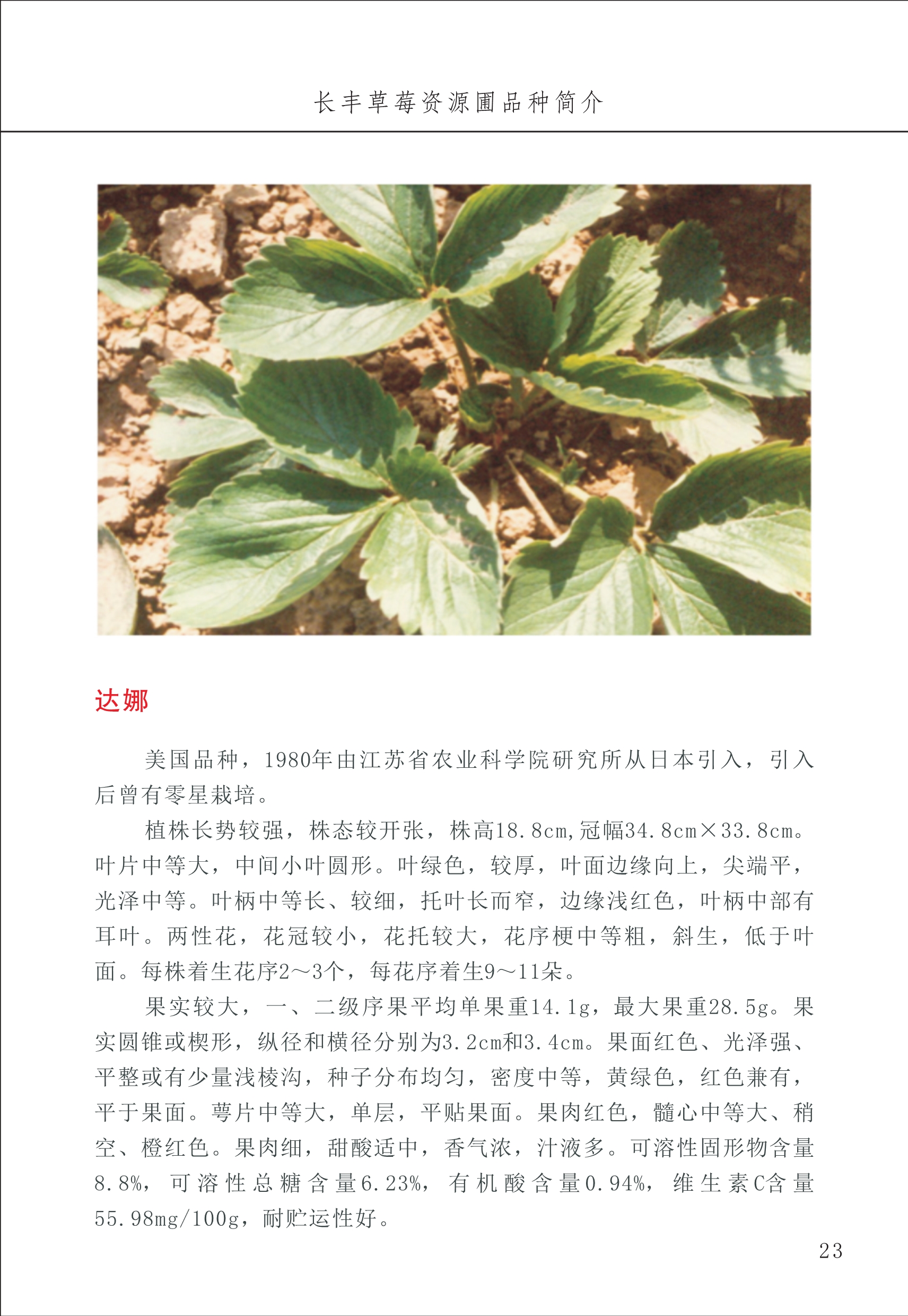 長豐農(nóng)技中心1_27.jpg