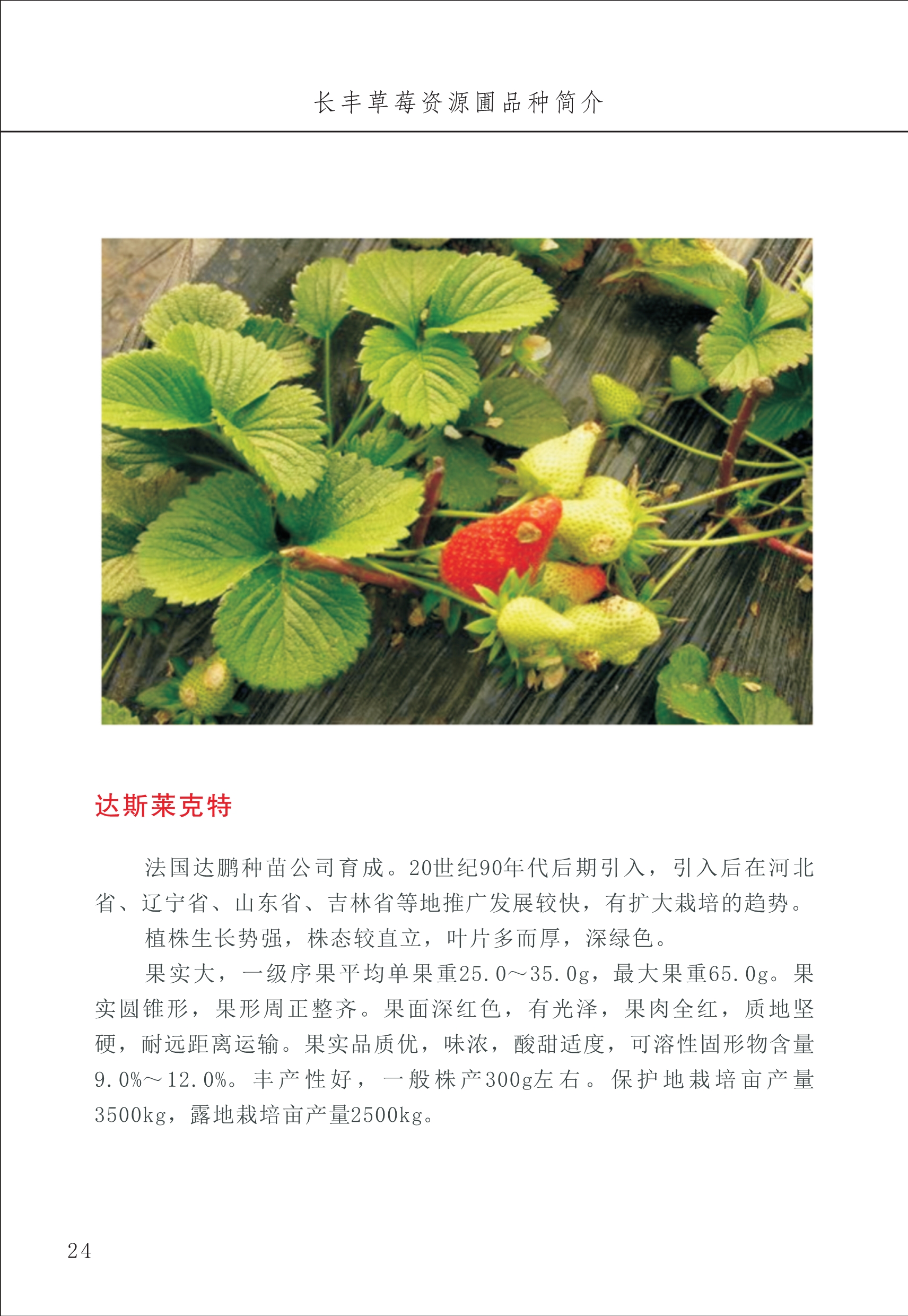 長豐農(nóng)技中心1_28.jpg
