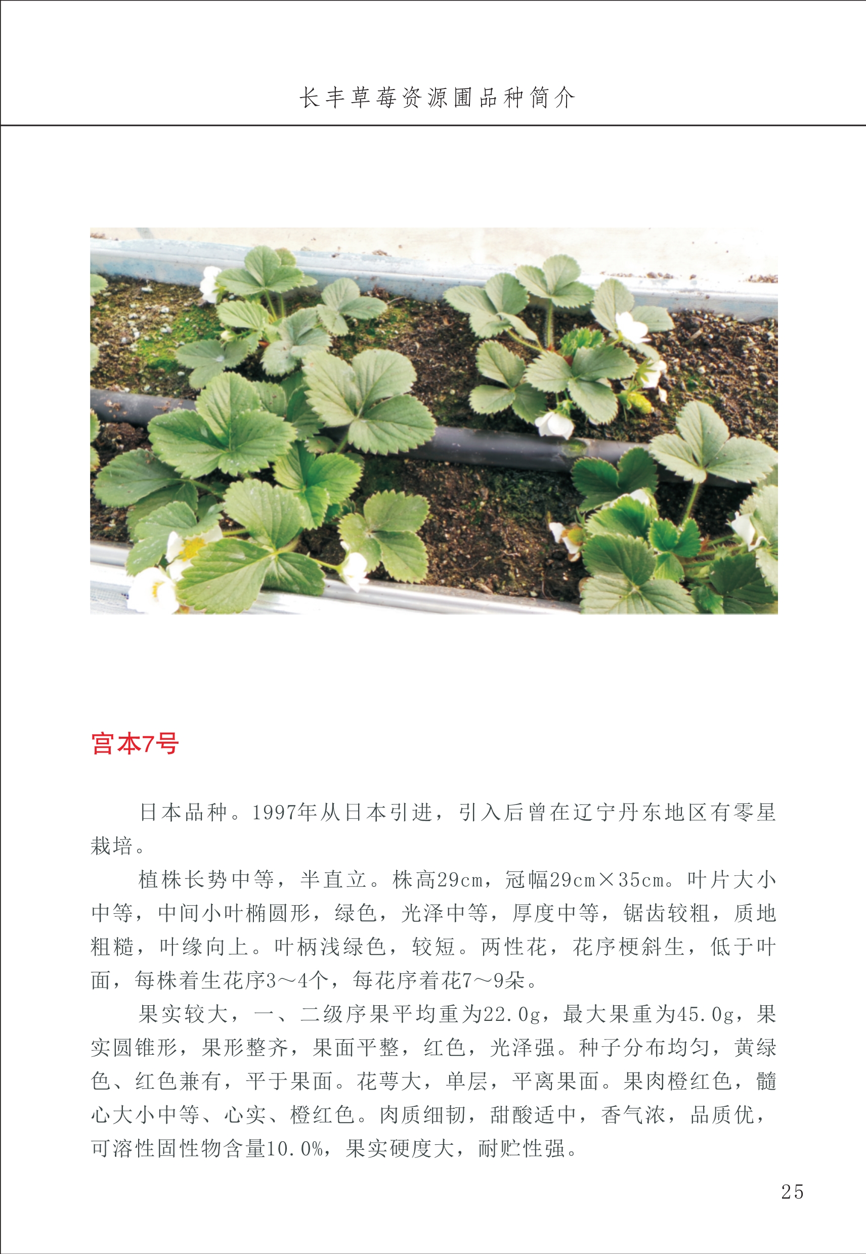 長豐農(nóng)技中心1_29.jpg