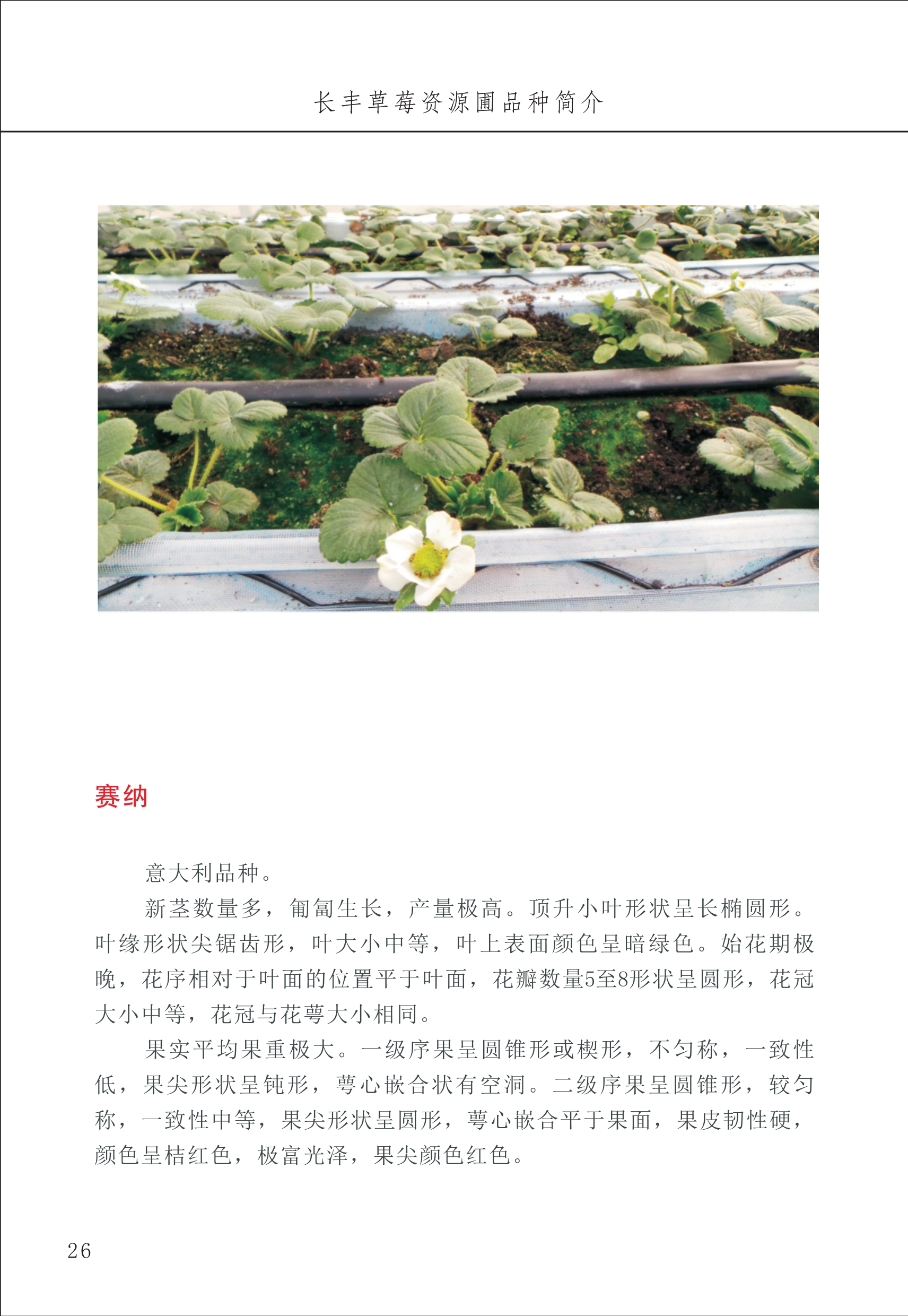 長豐農(nóng)技中心1_30.jpg