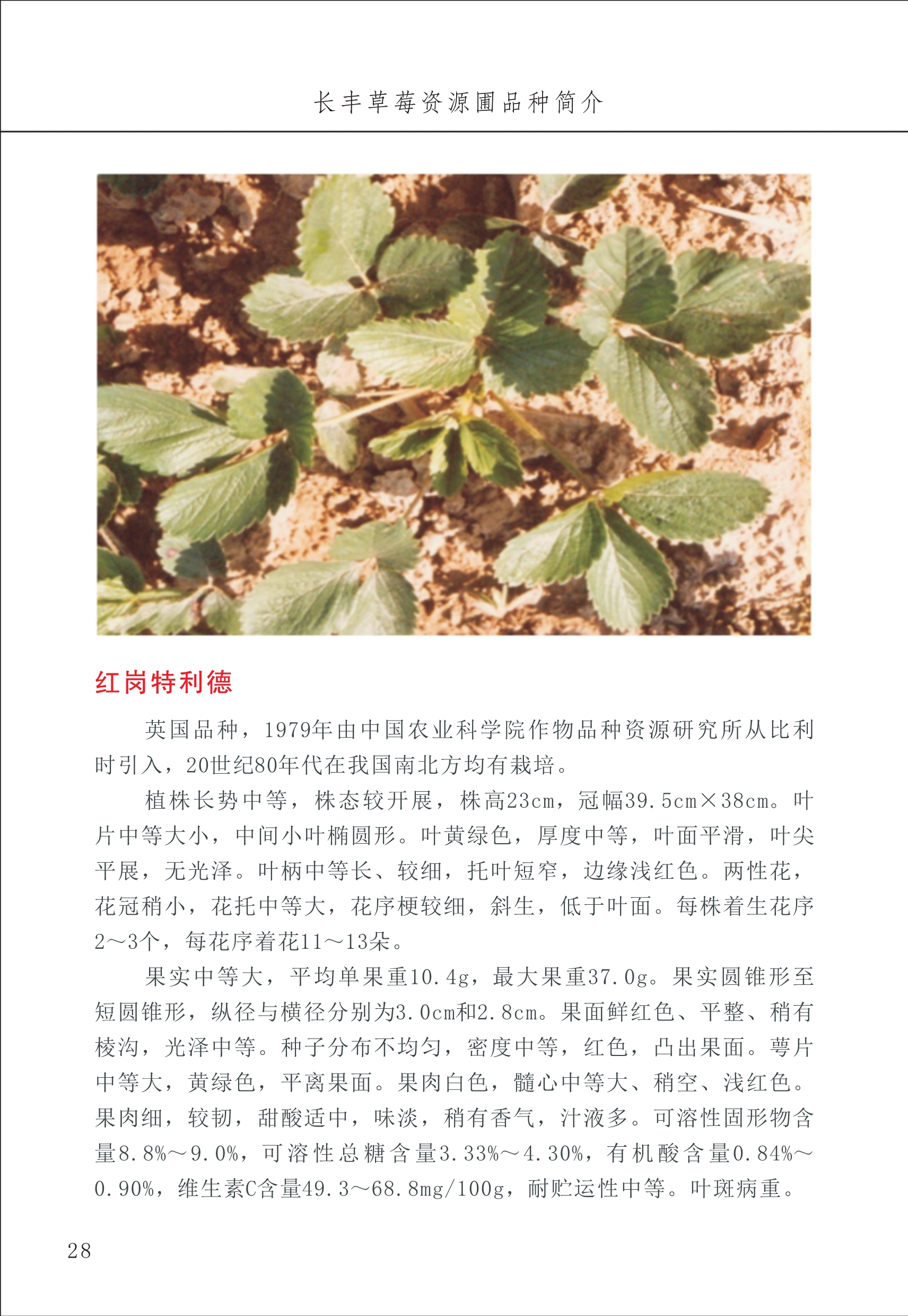長(zhǎng)豐農(nóng)技中心1_32.jpg