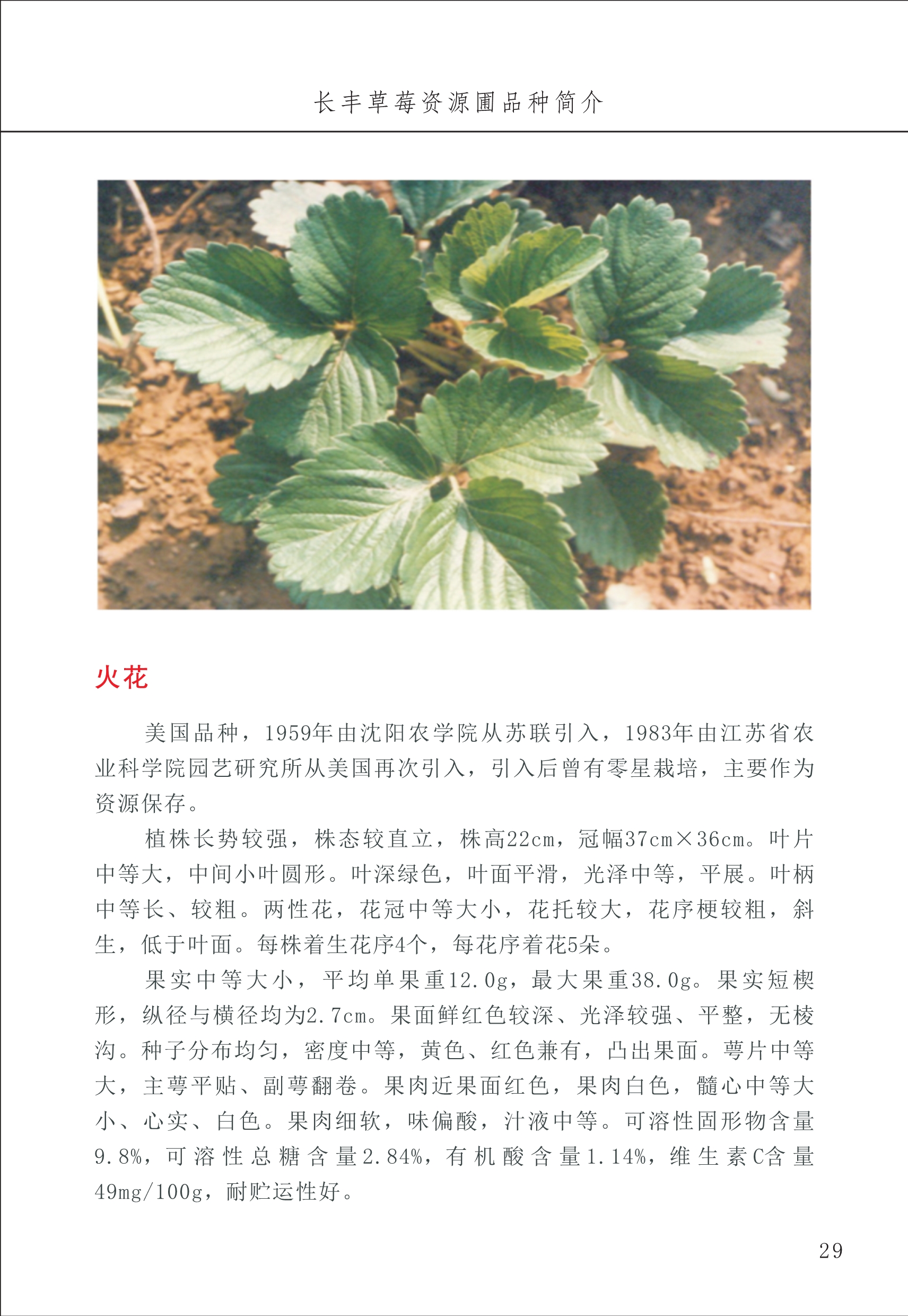 長豐農(nóng)技中心1_33.jpg