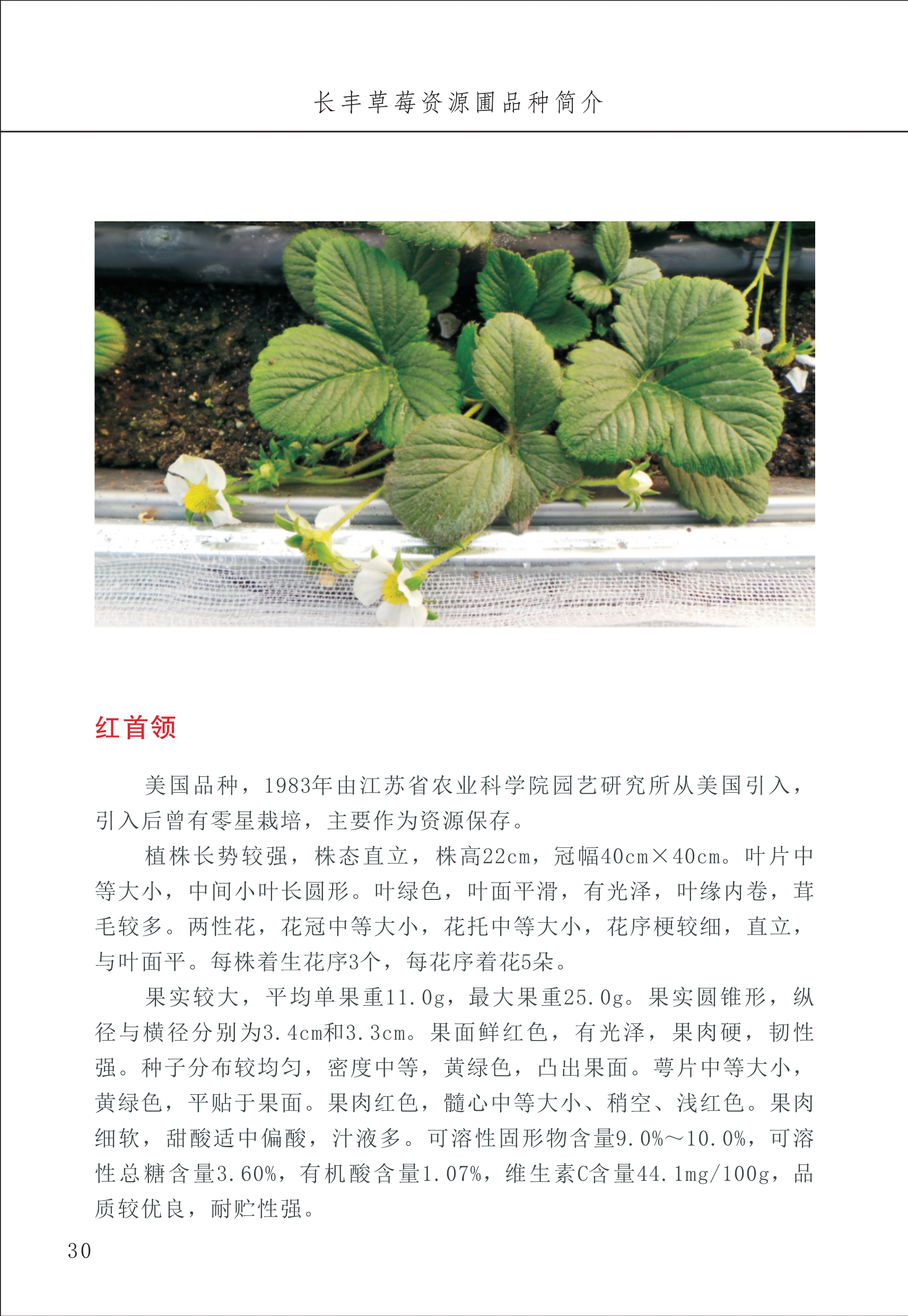 長豐農(nóng)技中心1_34.jpg