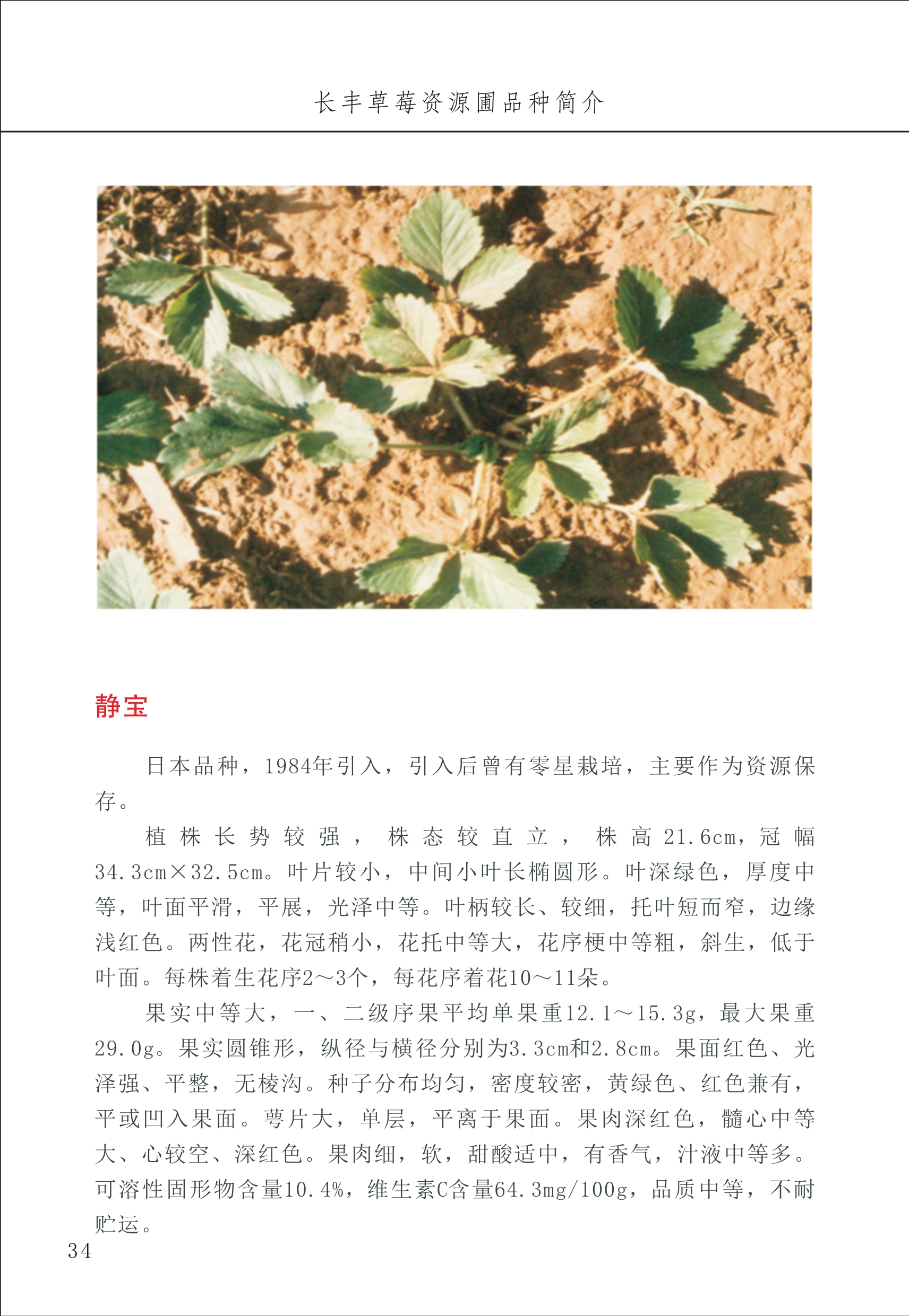 長豐農(nóng)技中心1_38.jpg