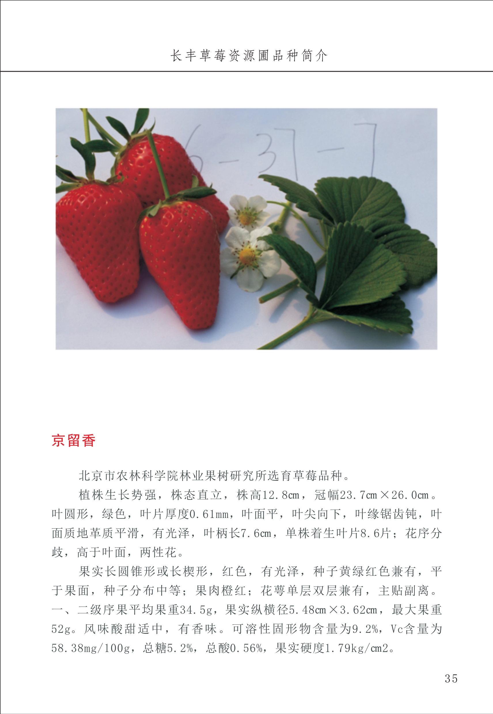 長豐農(nóng)技中心1_39.jpg
