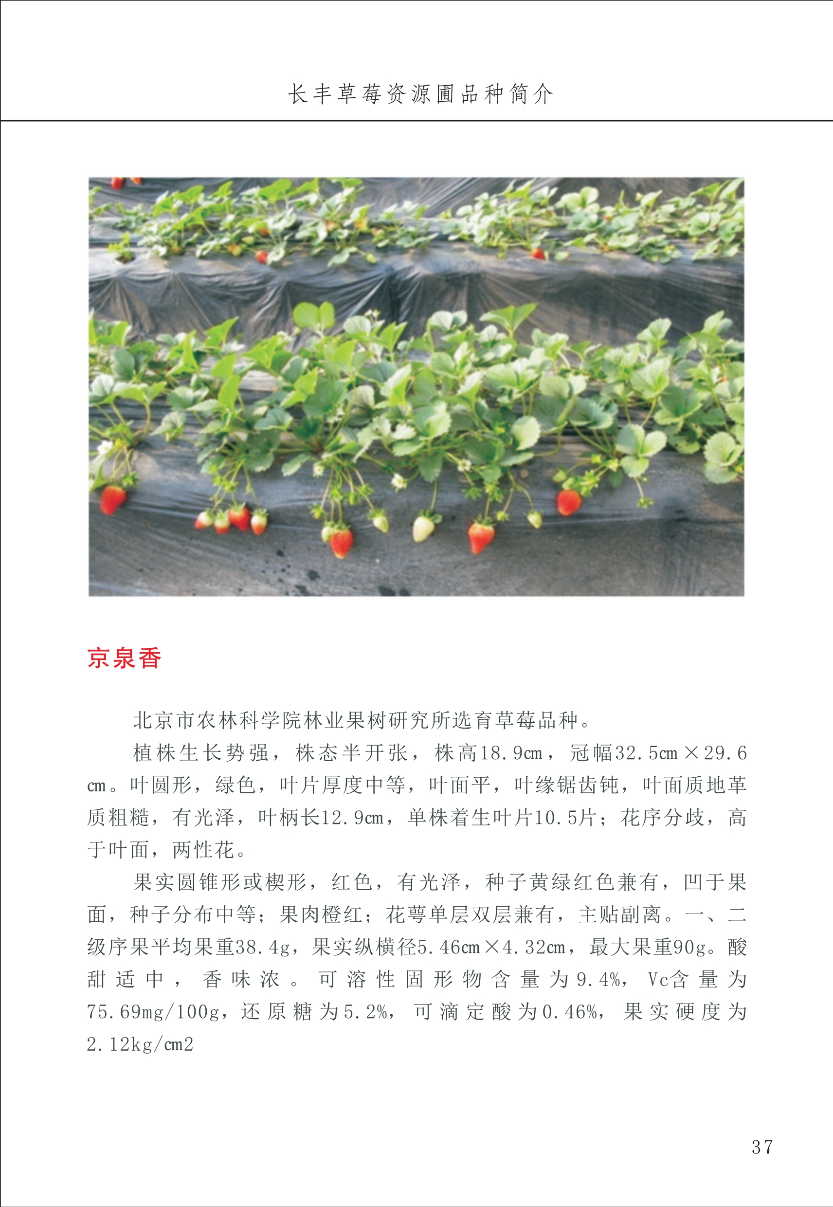 長豐農(nóng)技中心1_41.jpg