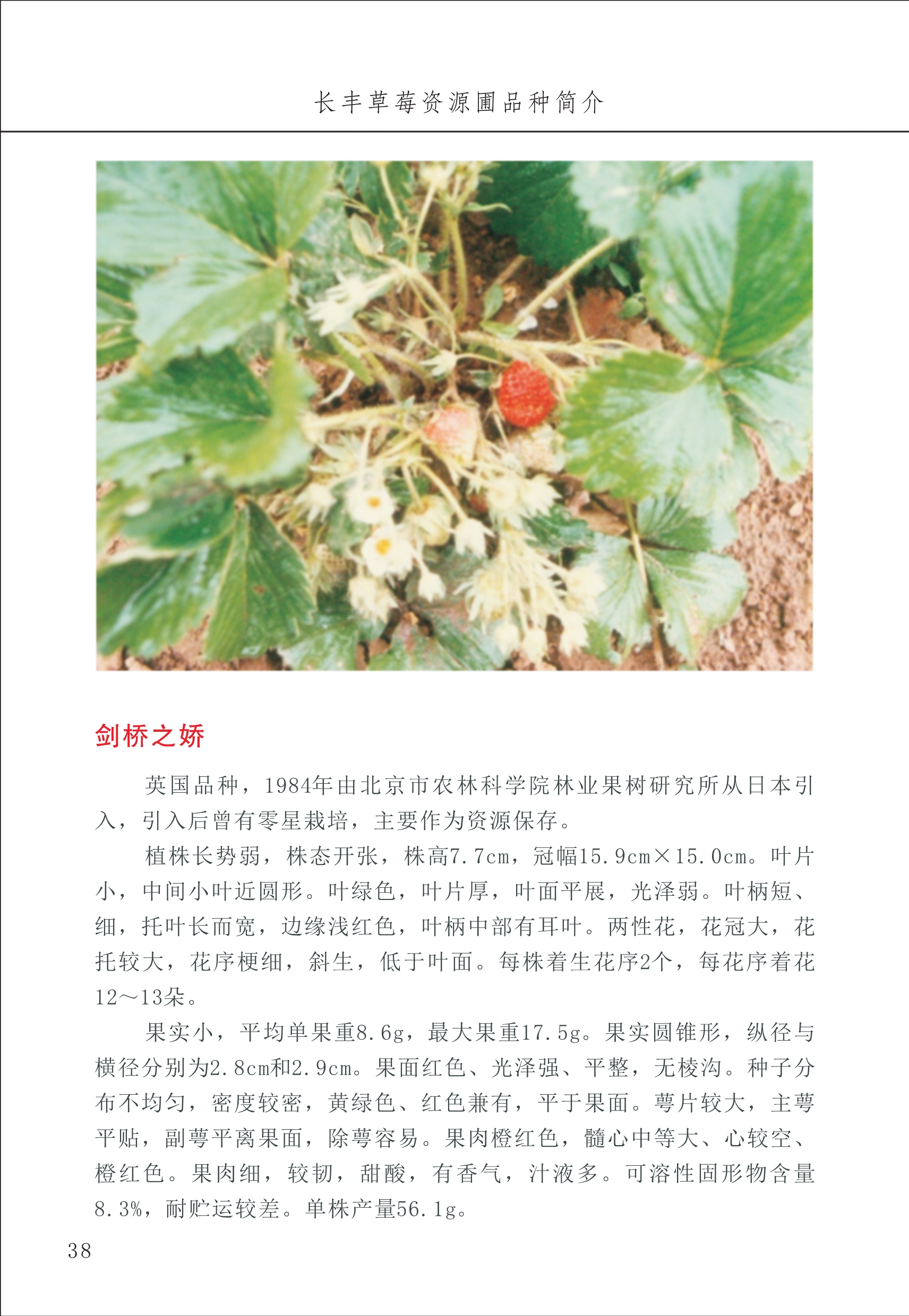 長豐農(nóng)技中心1_42.jpg