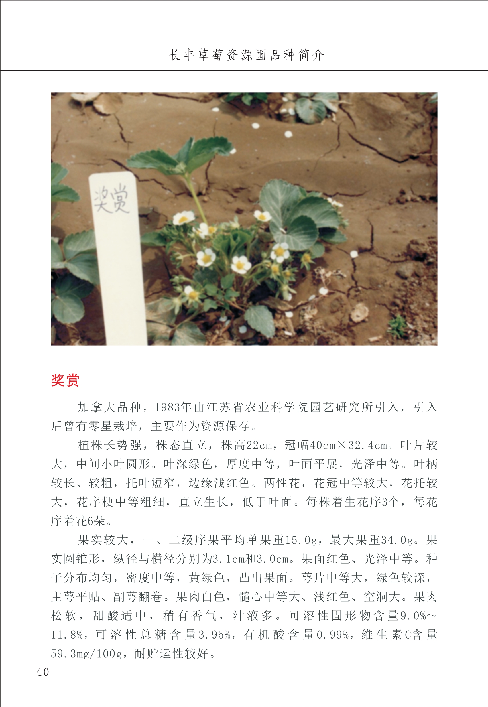 長豐農(nóng)技中心1_44.jpg