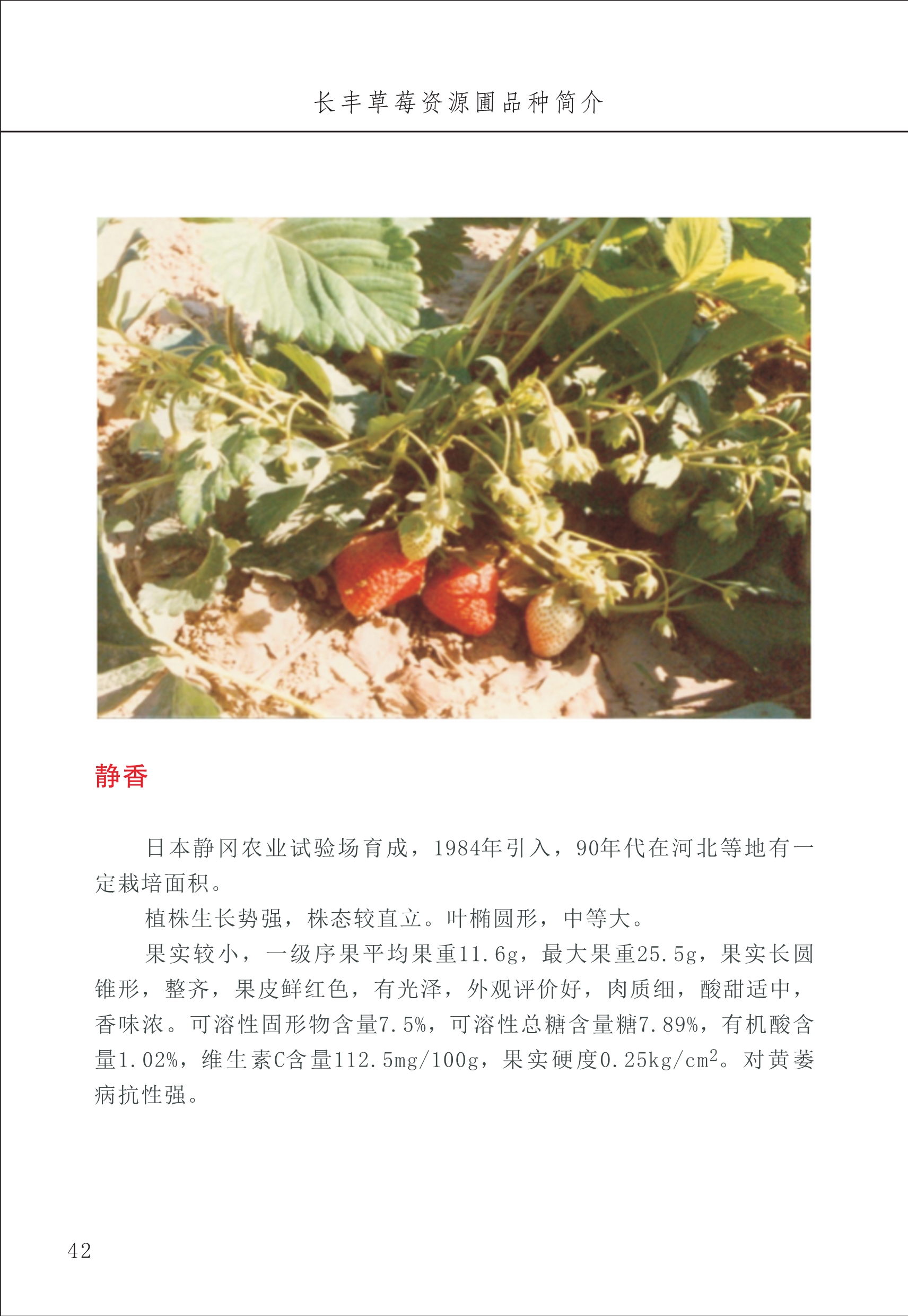 長豐農(nóng)技中心1_46.jpg