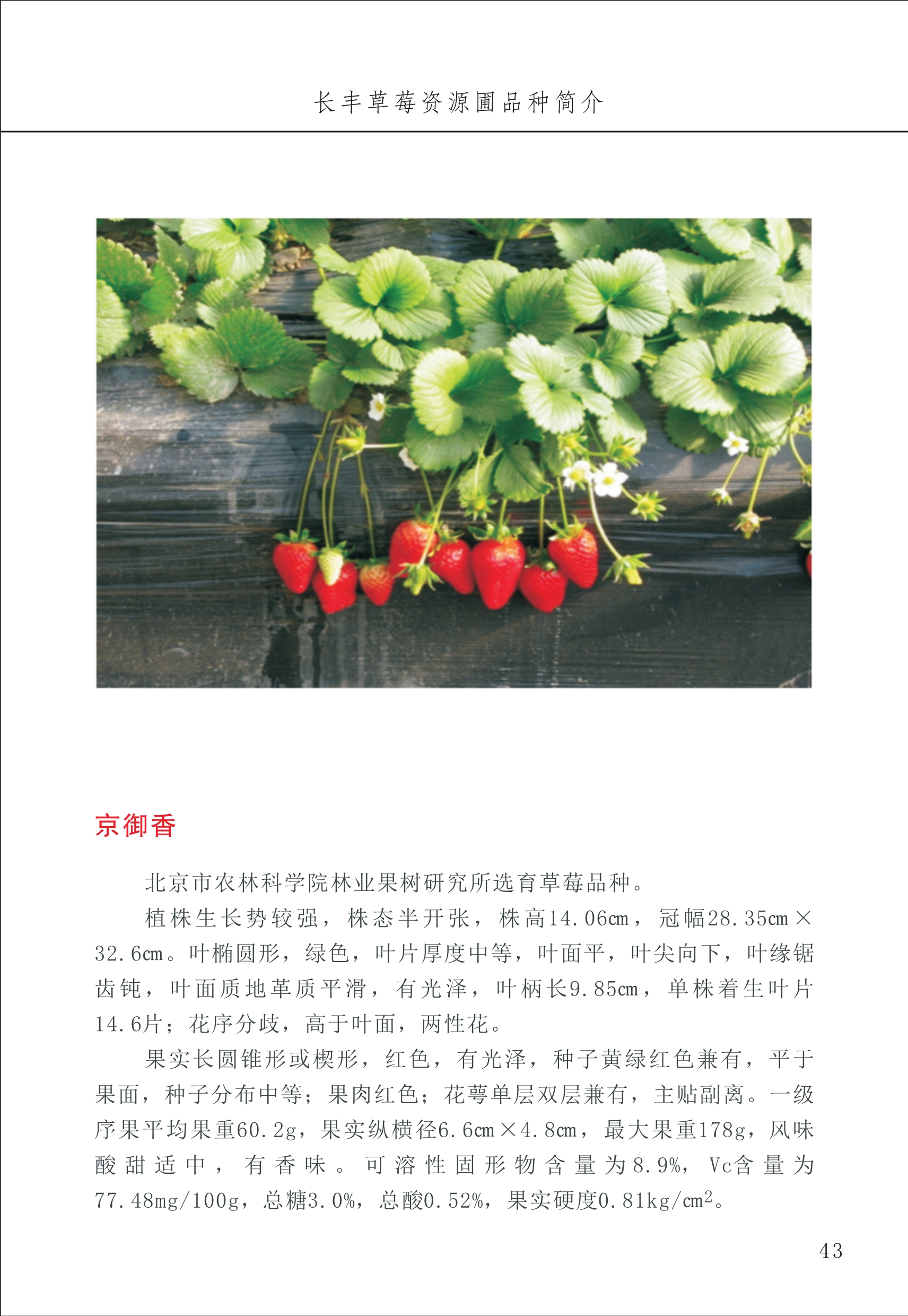 長豐農(nóng)技中心1_47.jpg