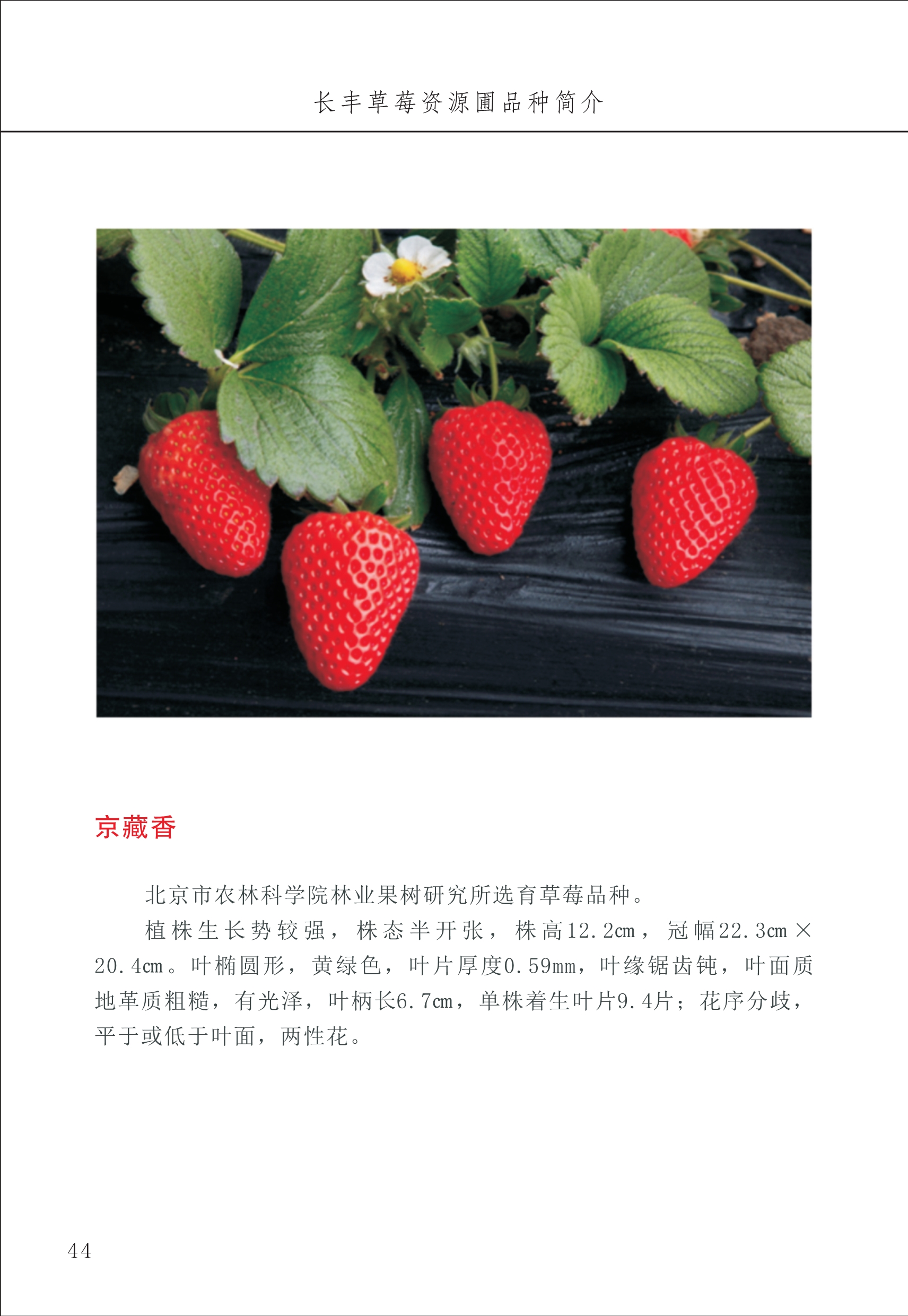 長豐農(nóng)技中心1_48.jpg