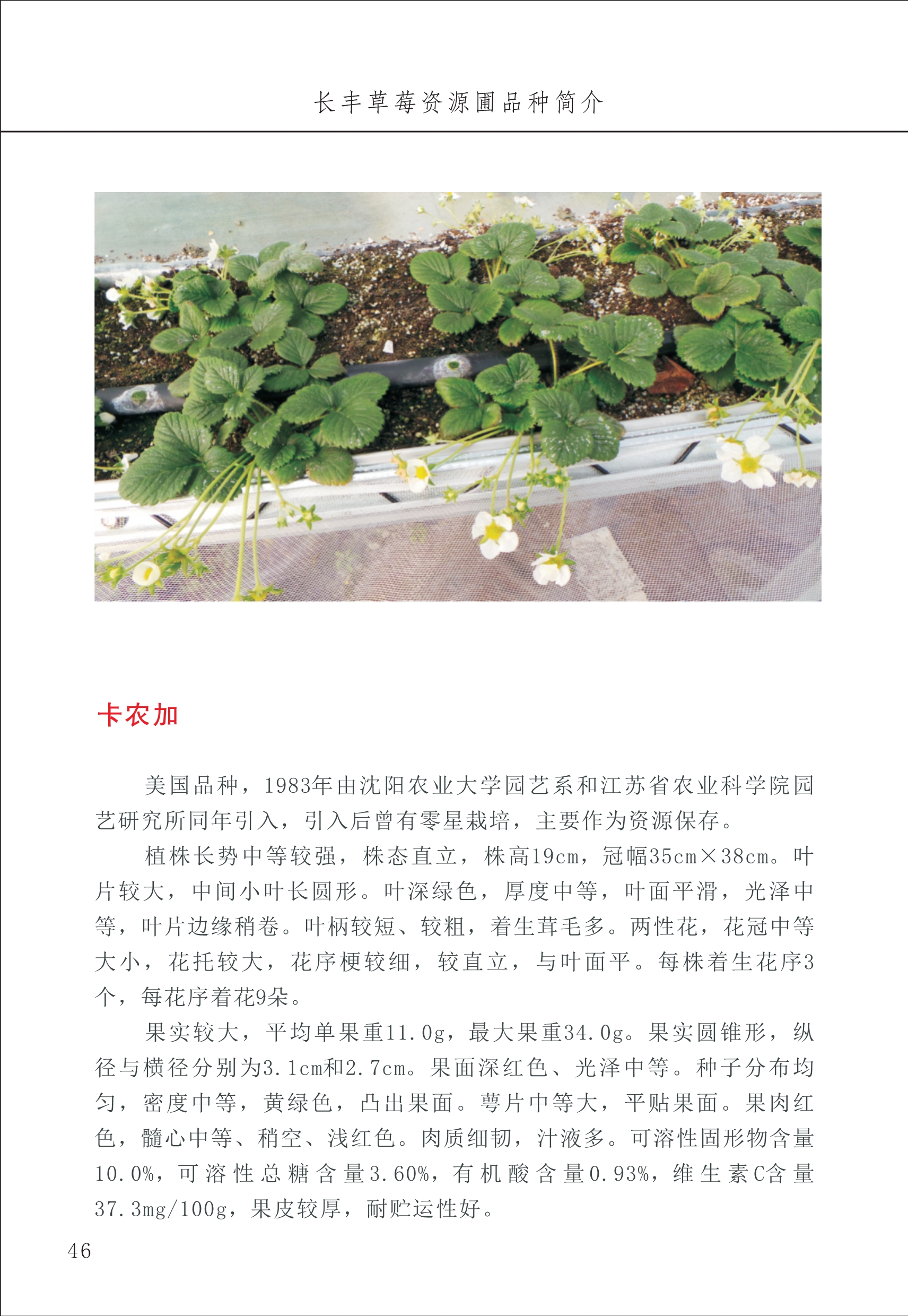 長(zhǎng)豐農(nóng)技中心1_50.jpg