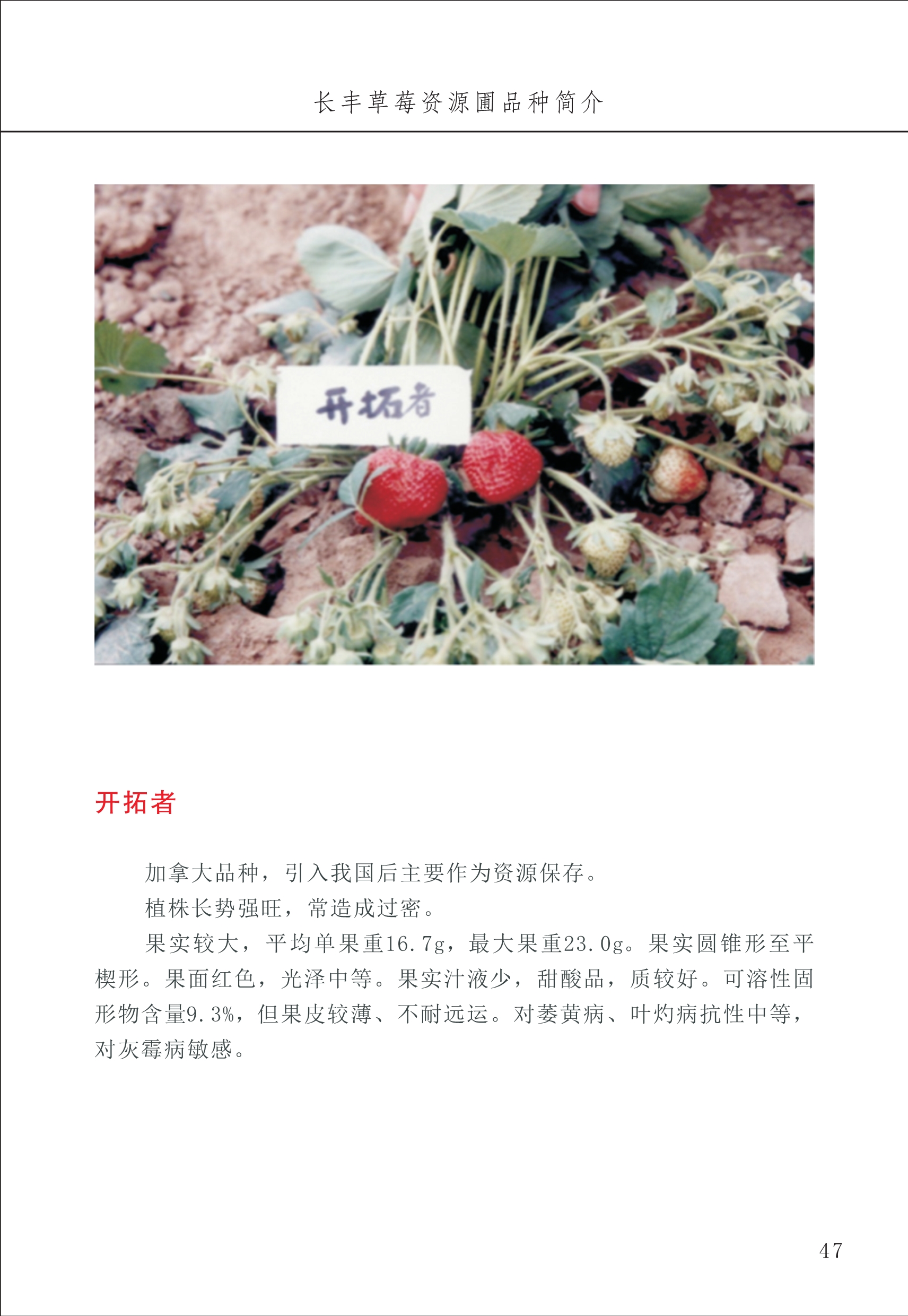 長豐農(nóng)技中心1_51.jpg