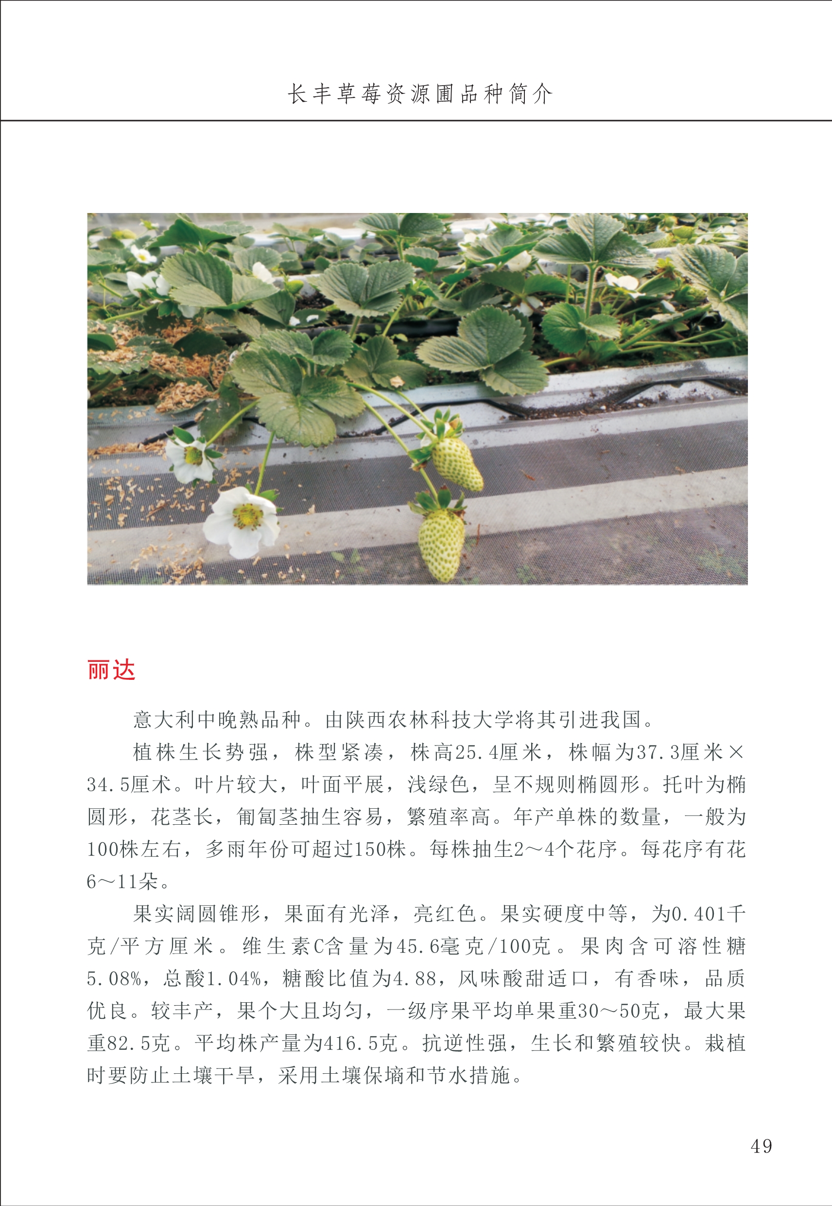 長豐農技中心1_53.jpg