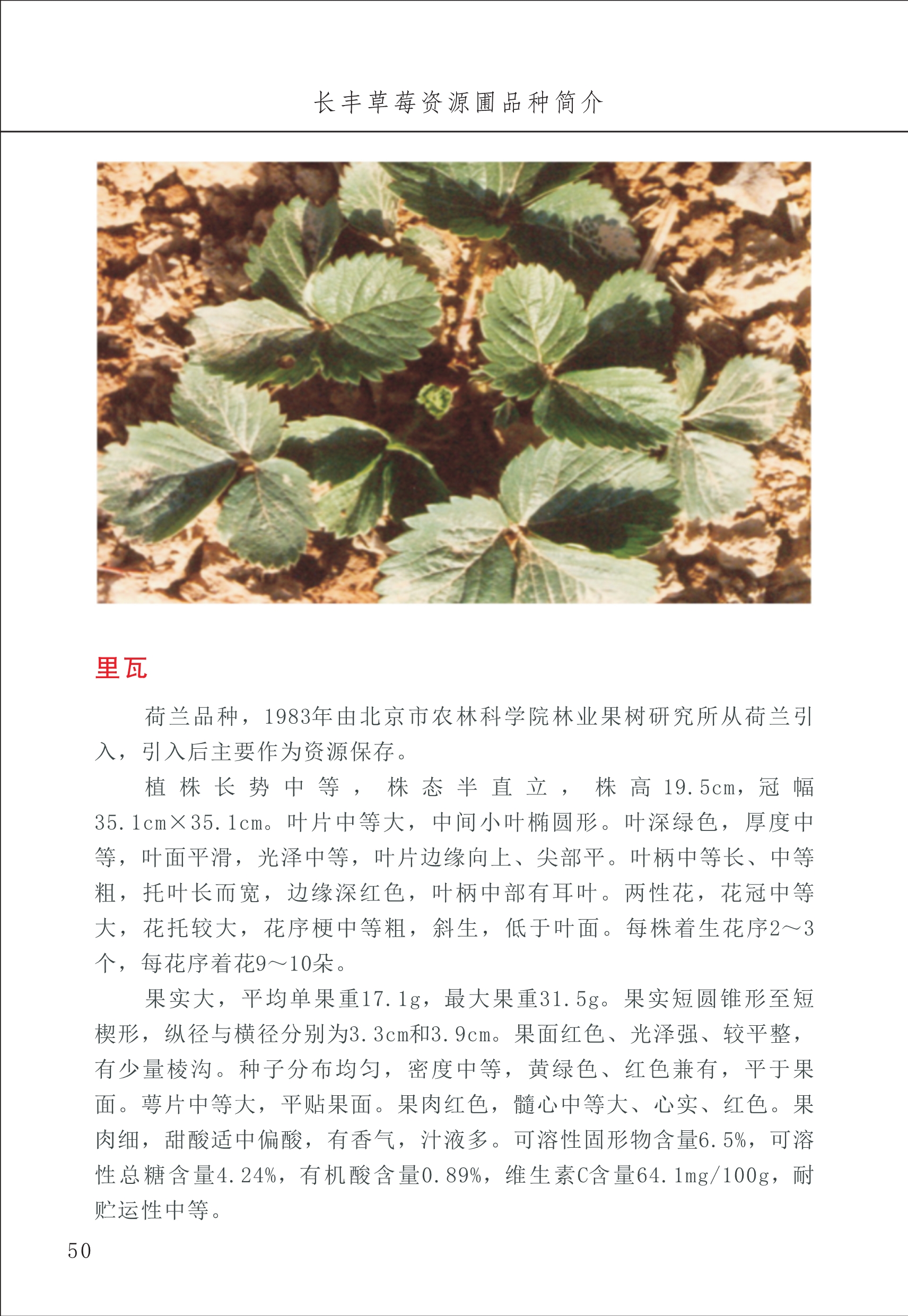 長(zhǎng)豐農(nóng)技中心1_54.jpg