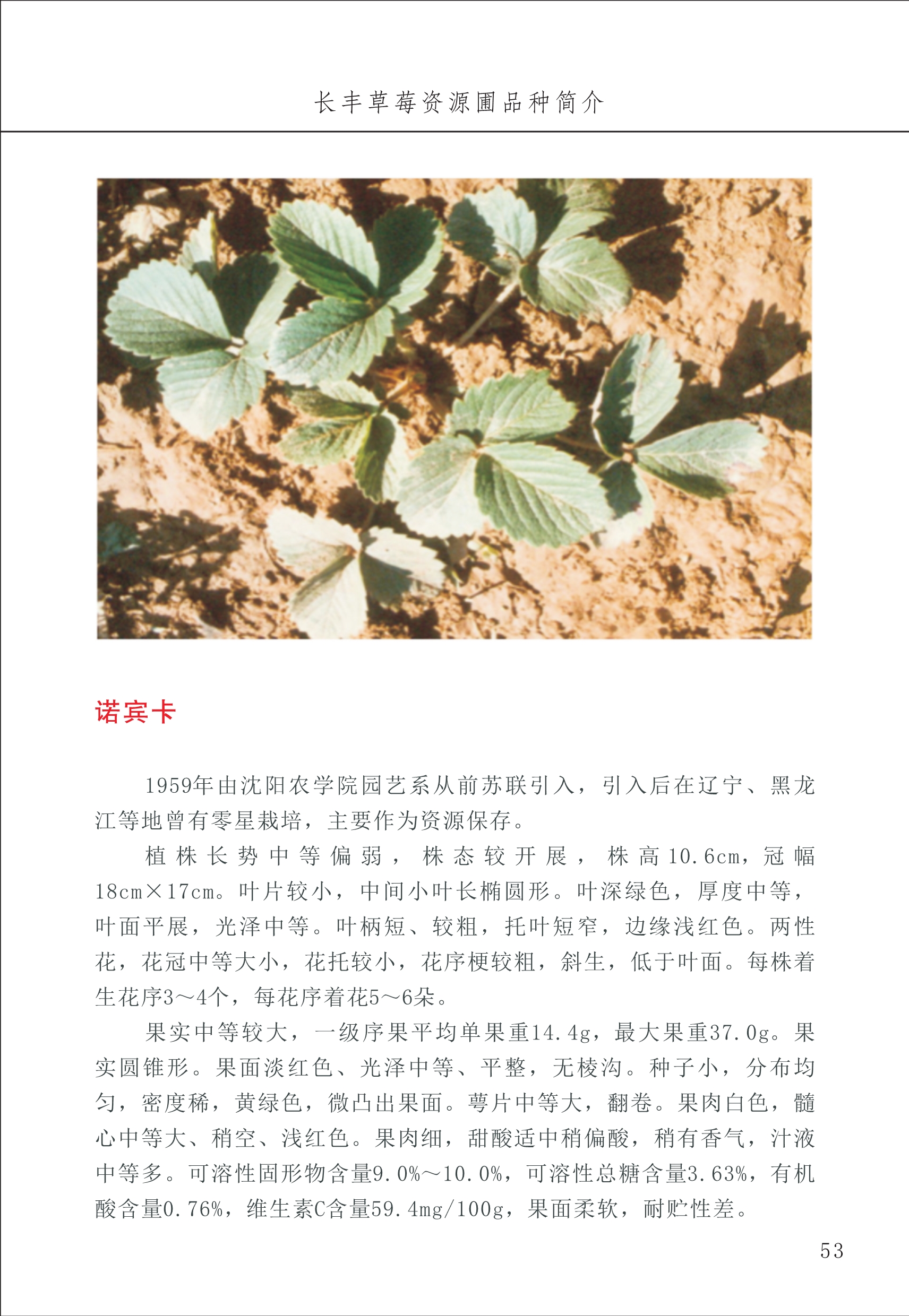 長(zhǎng)豐農(nóng)技中心1_57.jpg