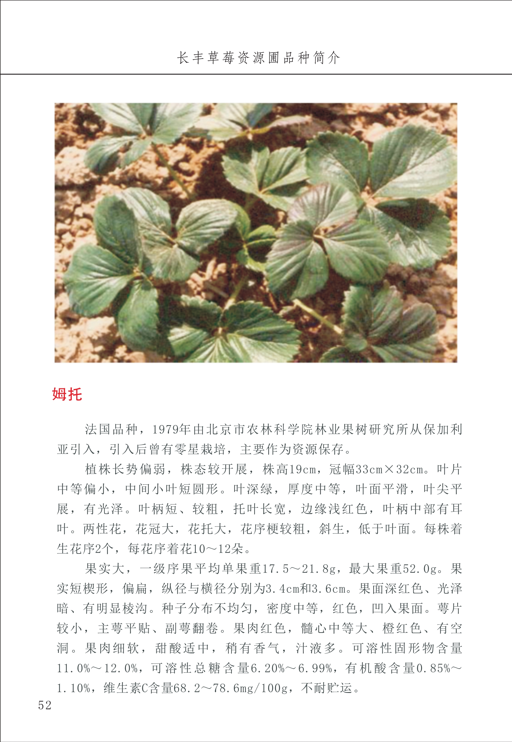 長豐農技中心1_56.jpg