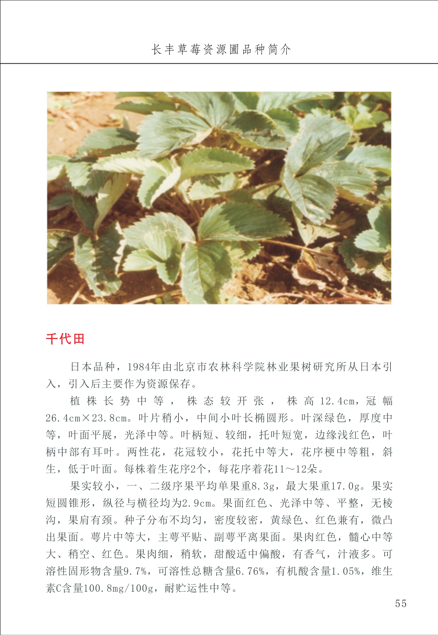 長豐農(nóng)技中心1_59.jpg