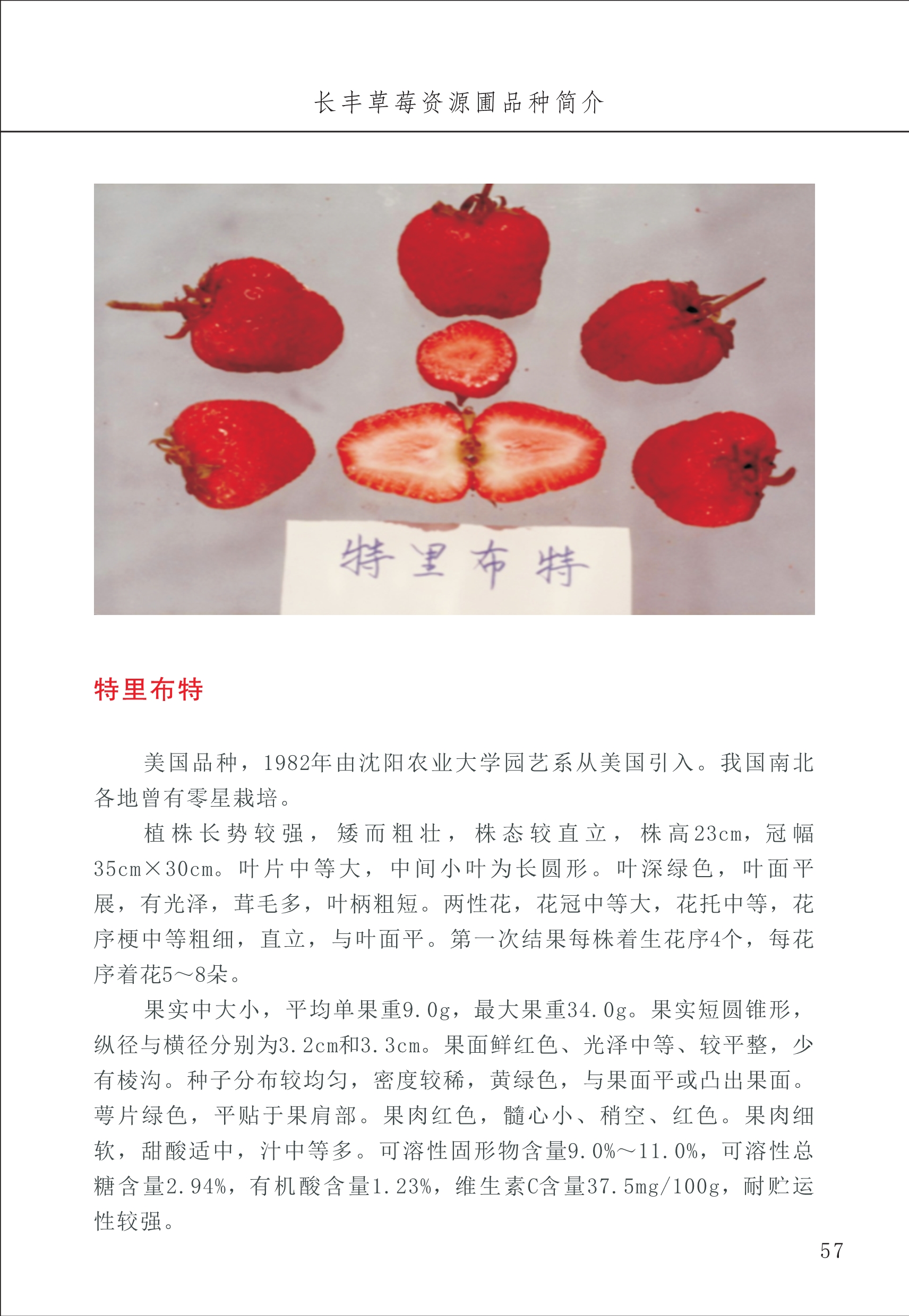 長豐農(nóng)技中心1_61.jpg