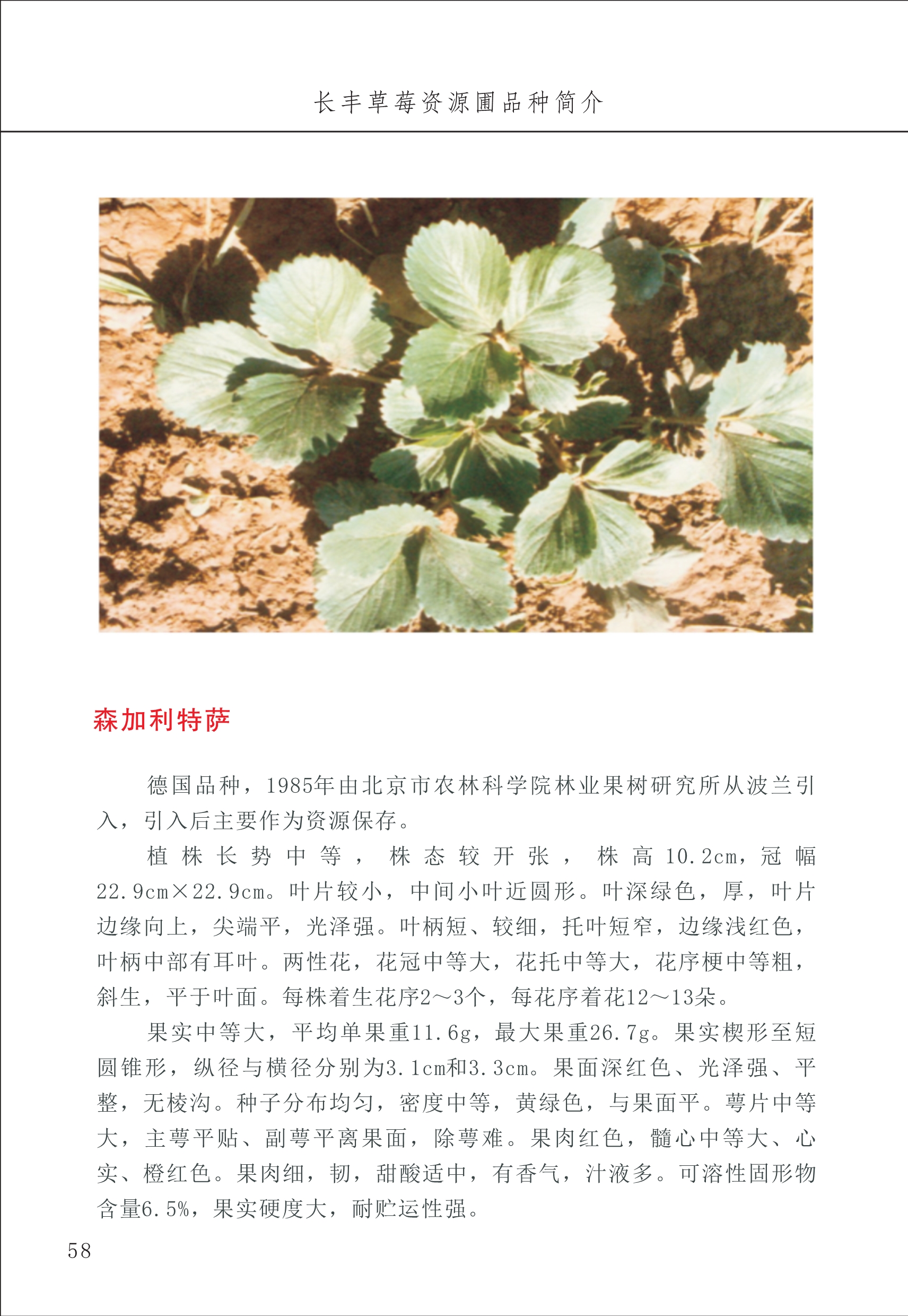 長豐農(nóng)技中心1_62.jpg