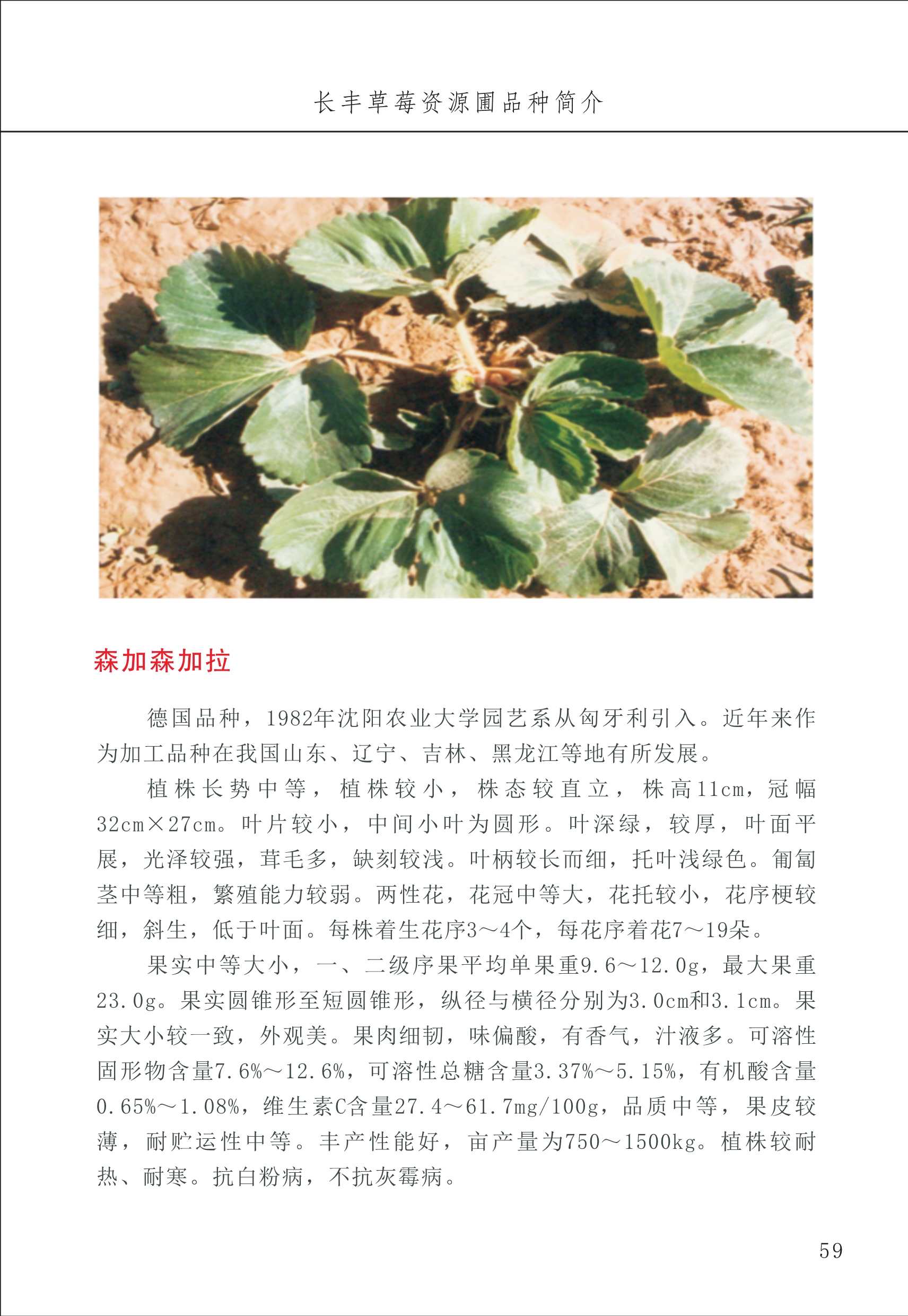 長豐農技中心1_63.jpg