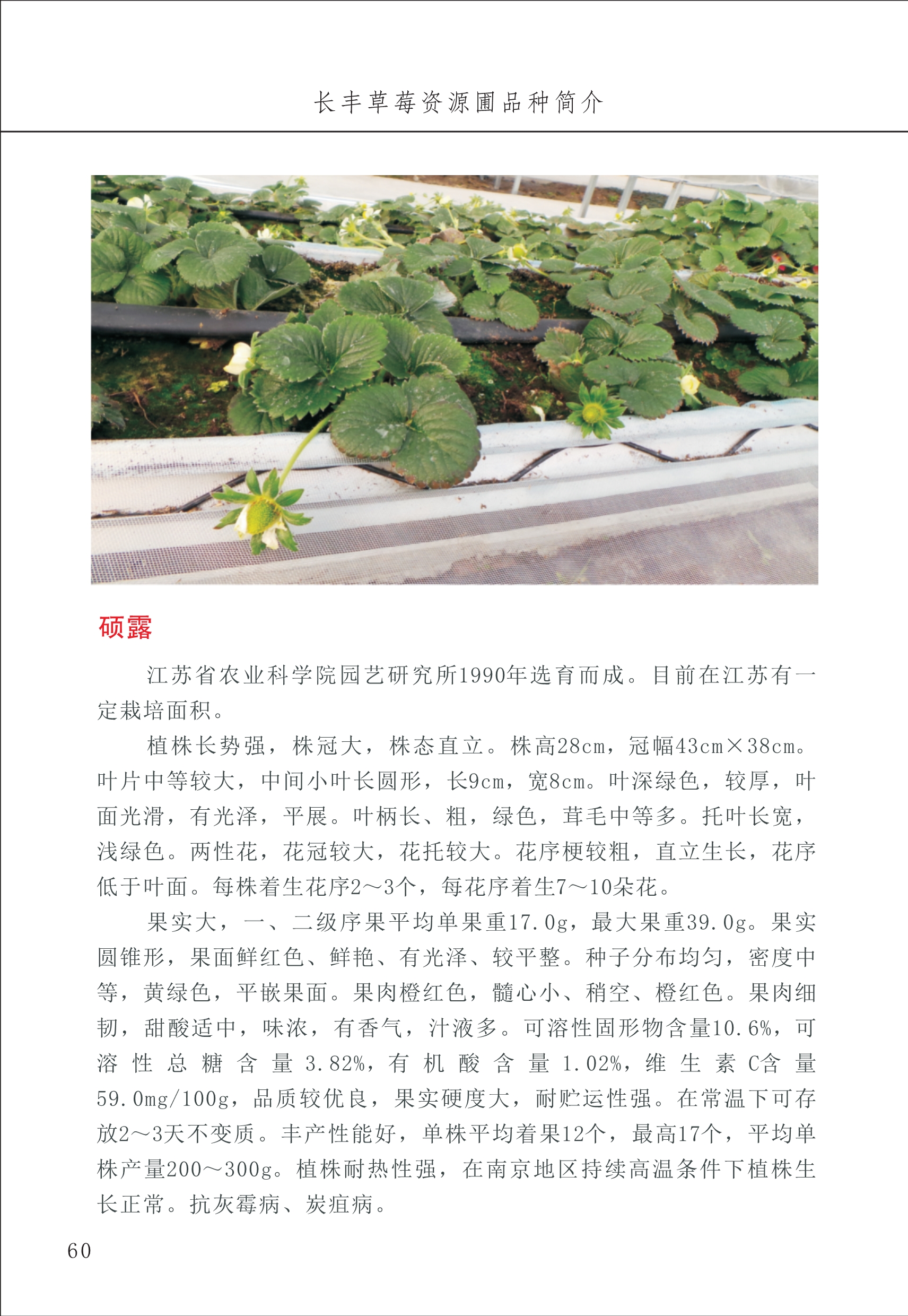 長(zhǎng)豐農(nóng)技中心1_64.jpg