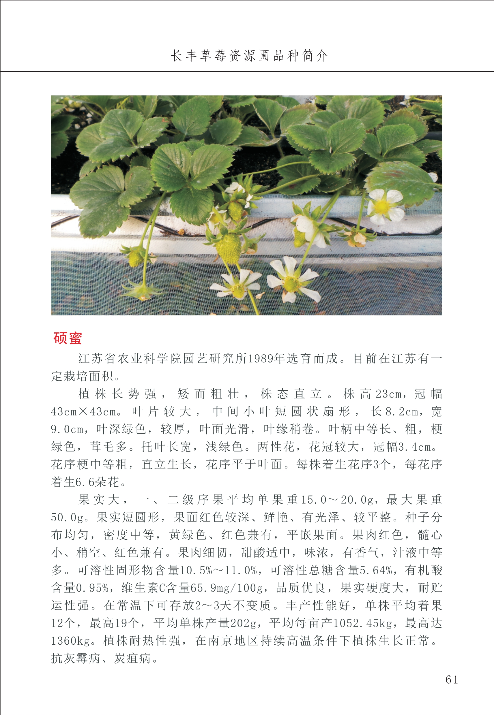 長(zhǎng)豐農(nóng)技中心1_65.jpg