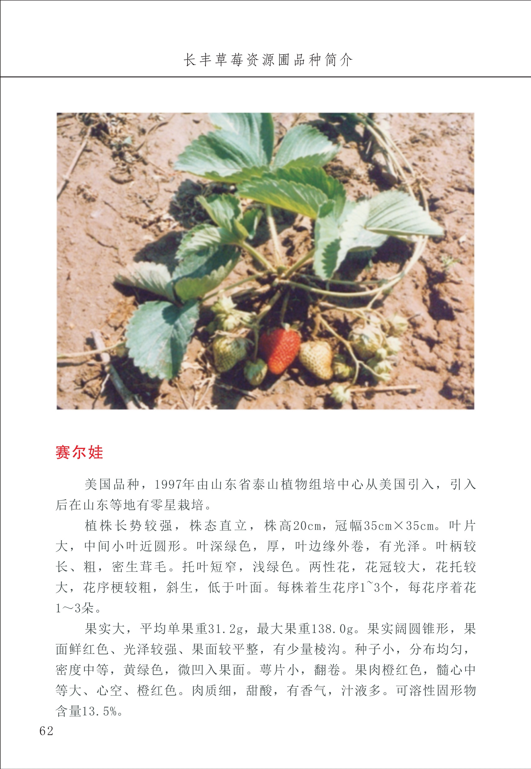 長豐農(nóng)技中心1_66.jpg