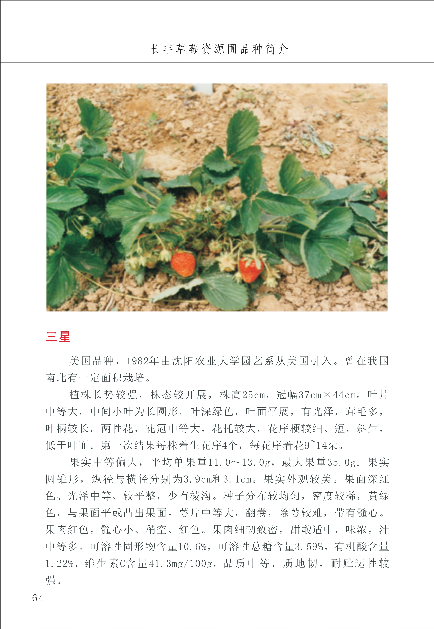 長豐農(nóng)技中心1_68.jpg