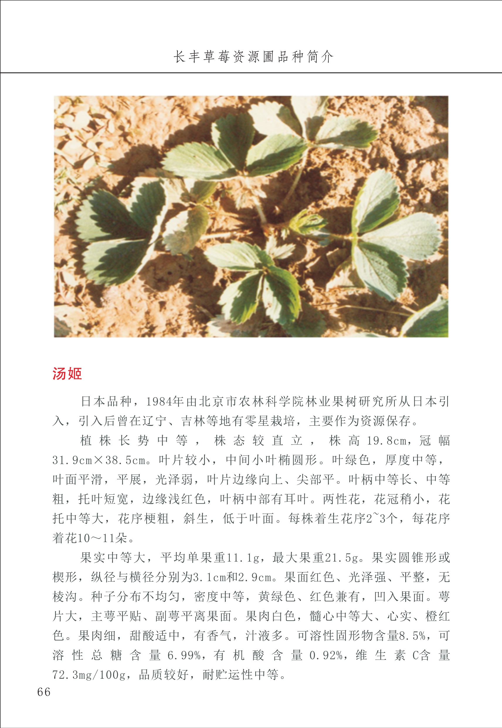 長豐農(nóng)技中心1_70.jpg