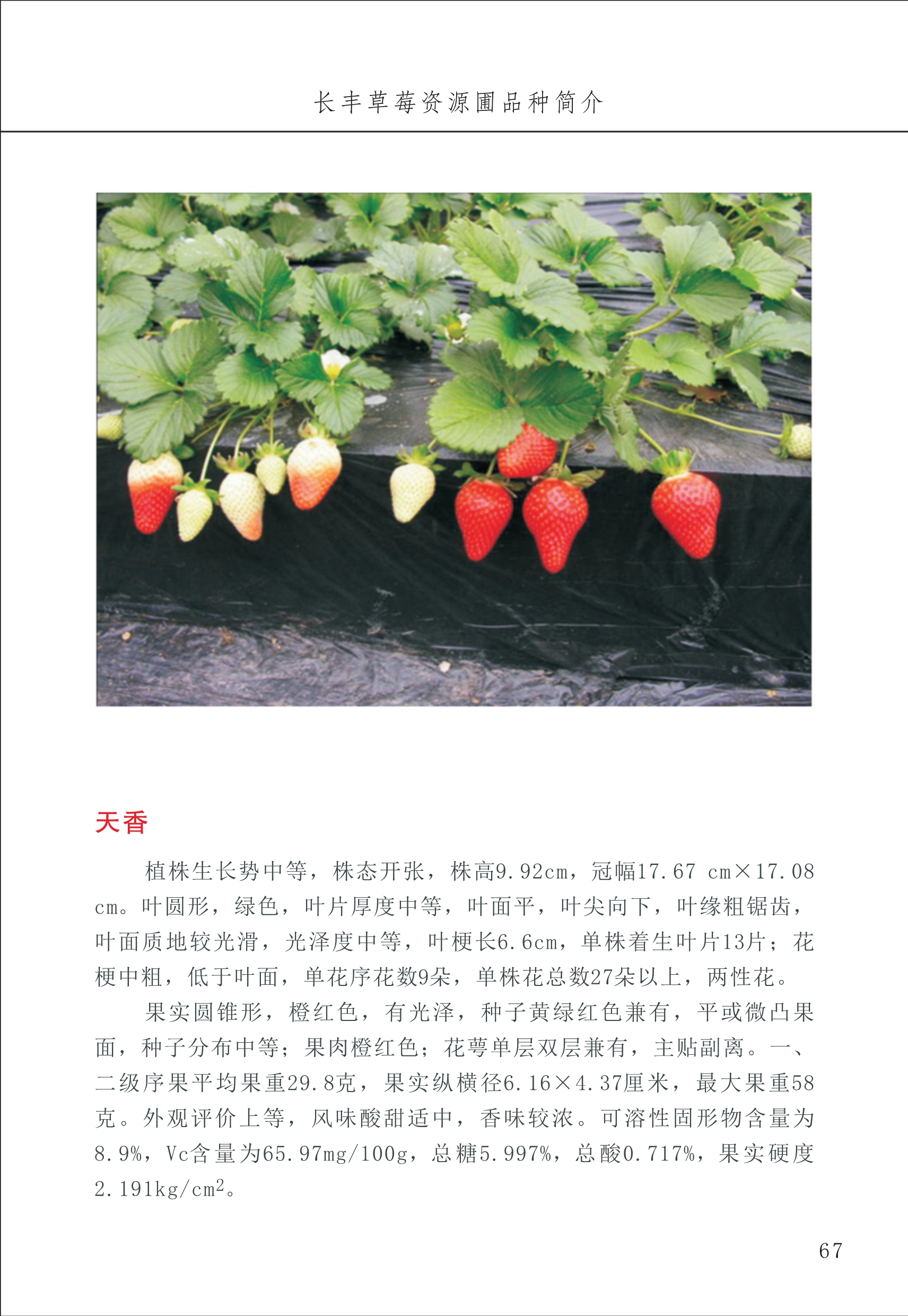 長豐農(nóng)技中心1_71.jpg