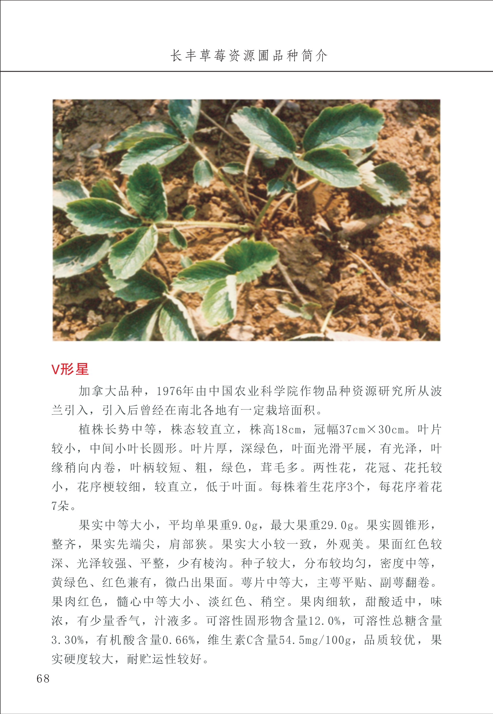 長(zhǎng)豐農(nóng)技中心1_72.jpg
