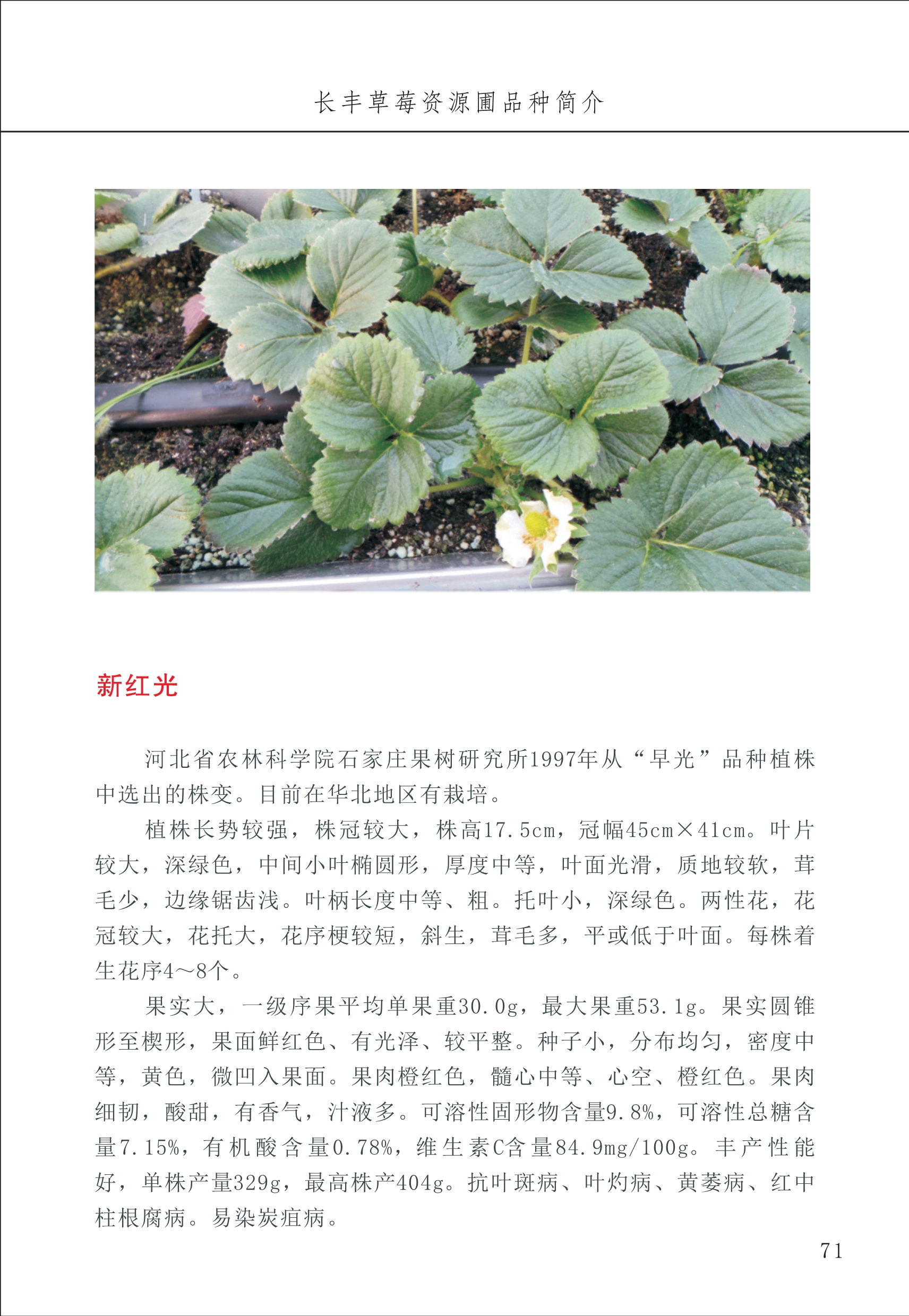長(zhǎng)豐農(nóng)技中心1_75.jpg